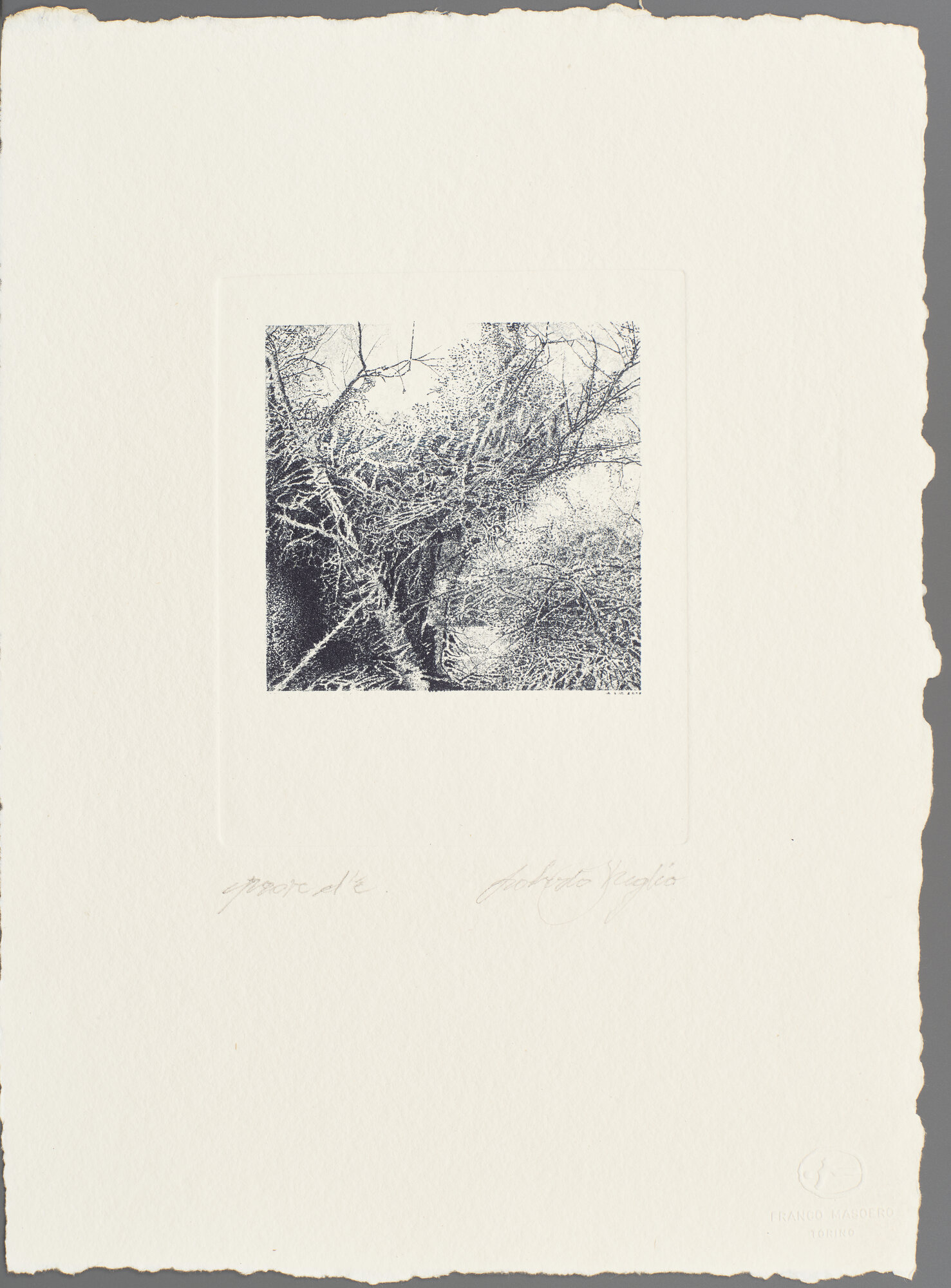 VC_2221 STREGLIO_1460.jpg