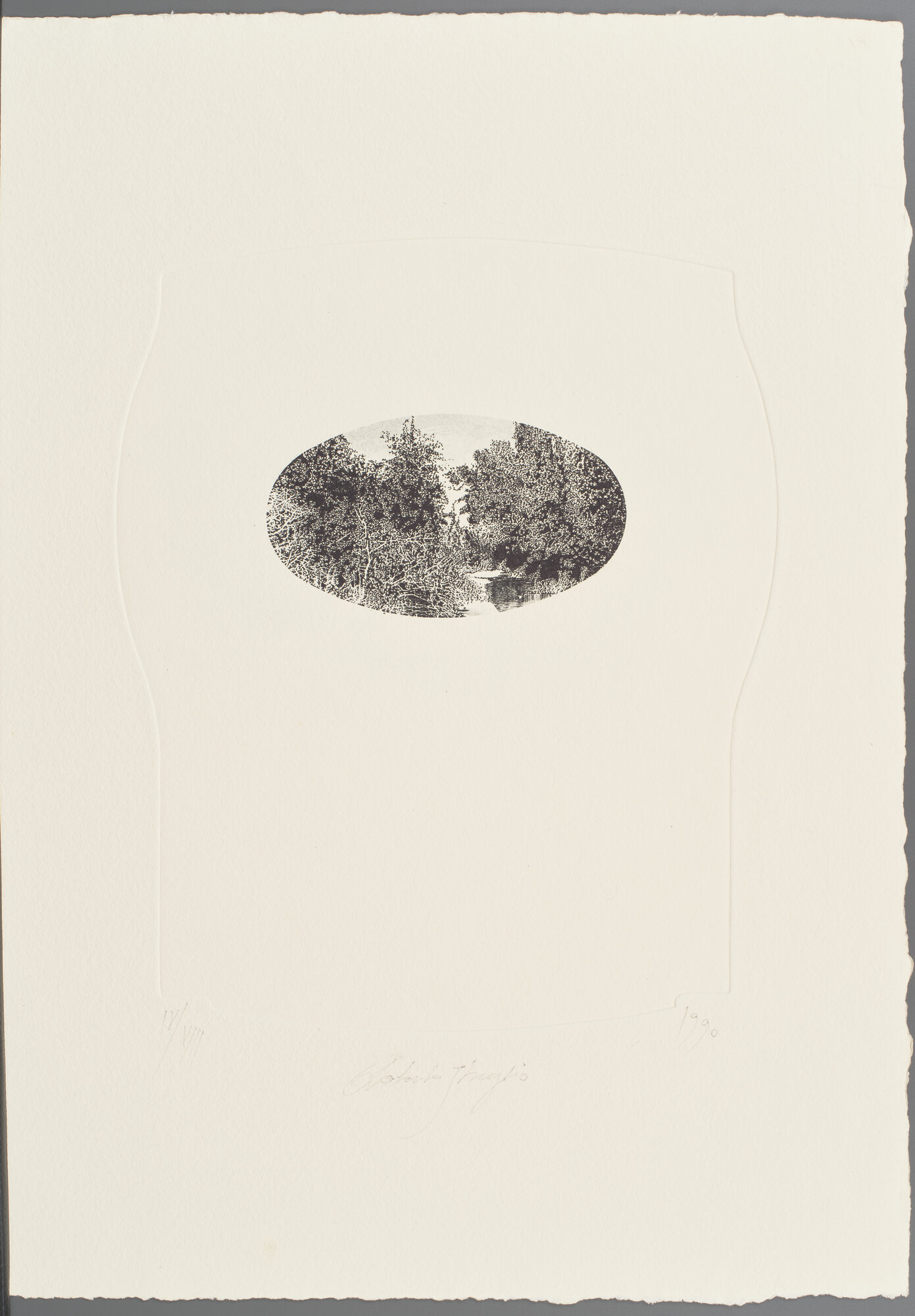 VC_2220 STREGLIO_1461.jpg