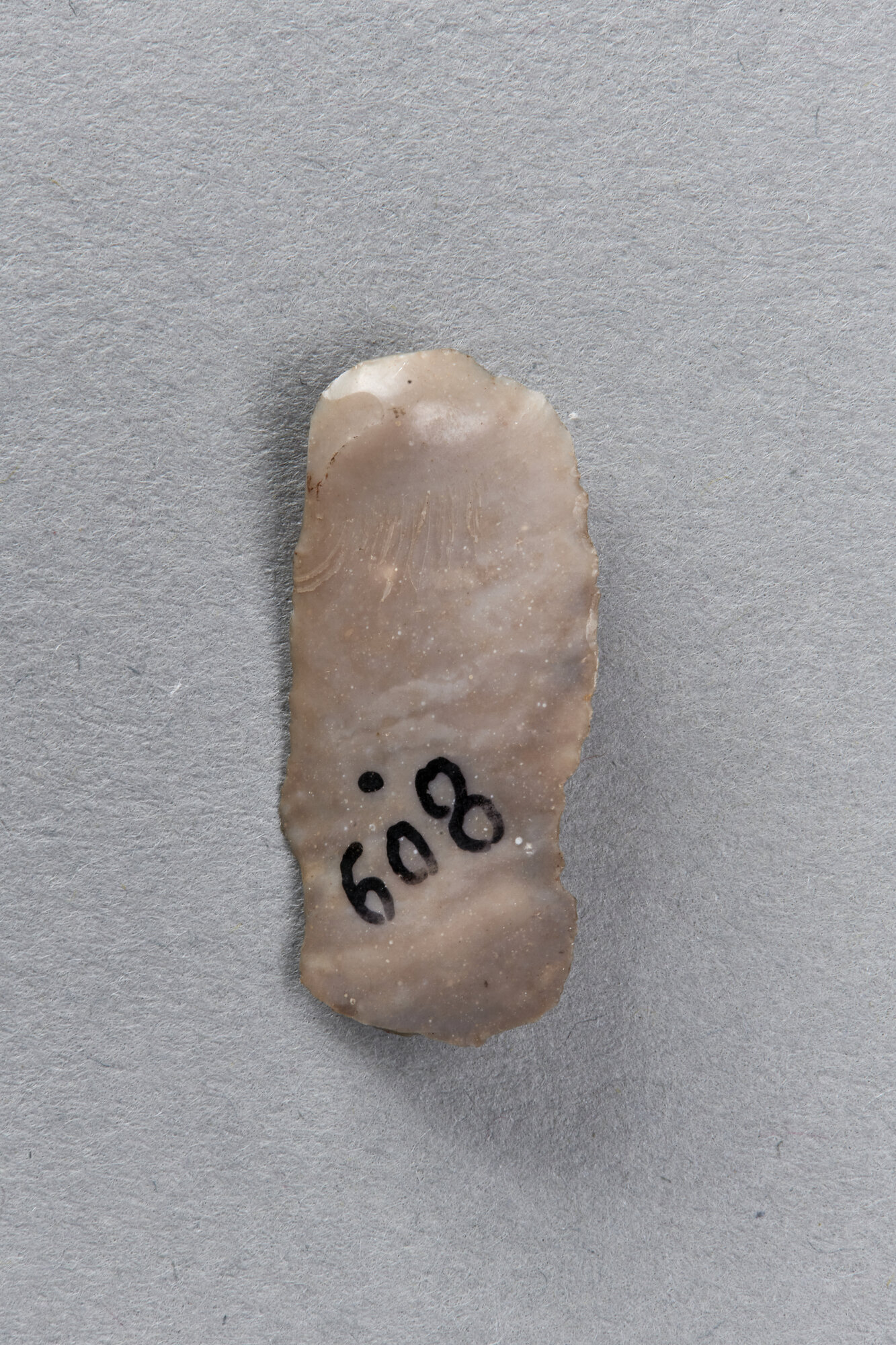 AR_809_26598.jpg