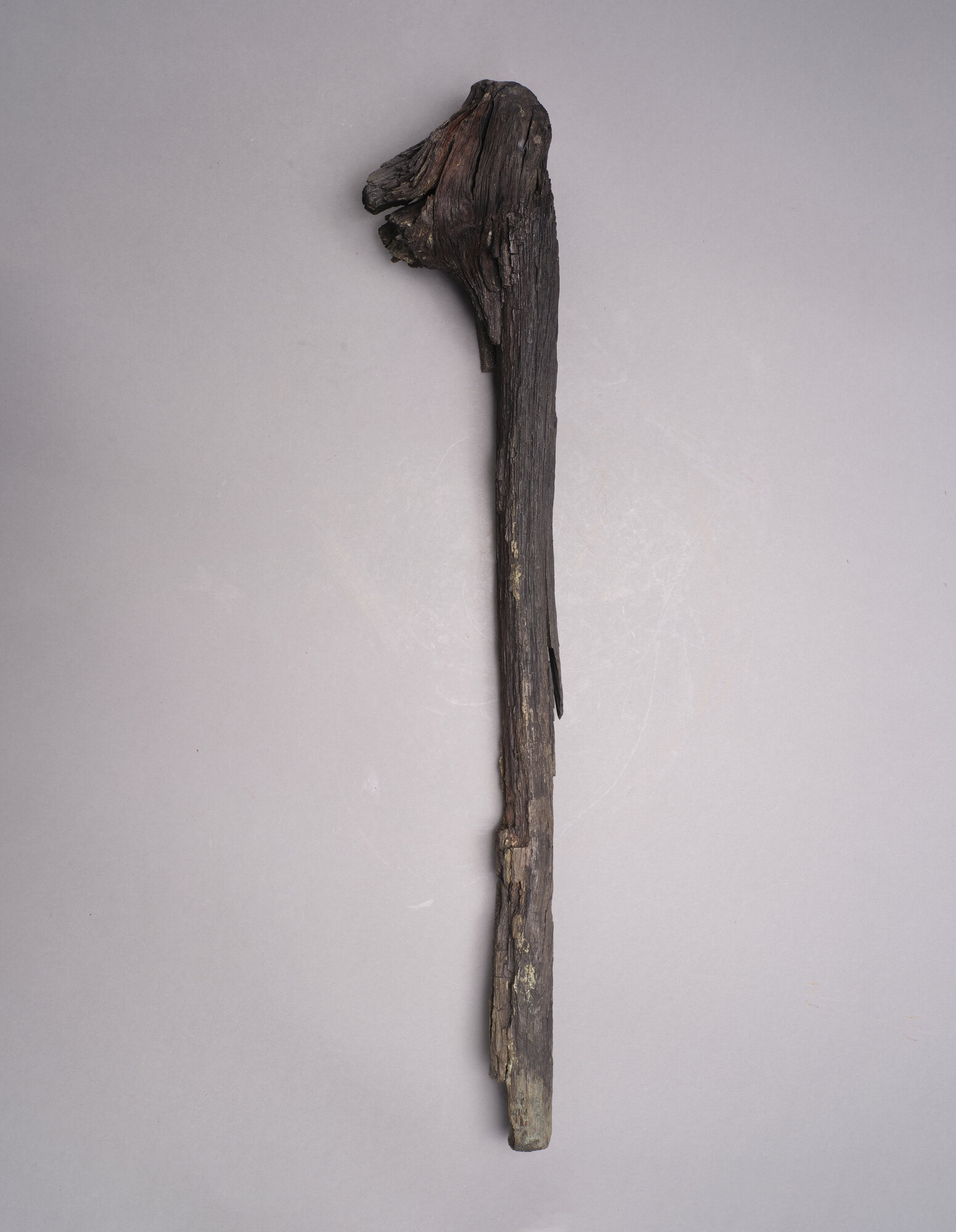 AR_0995_1875.jpg
