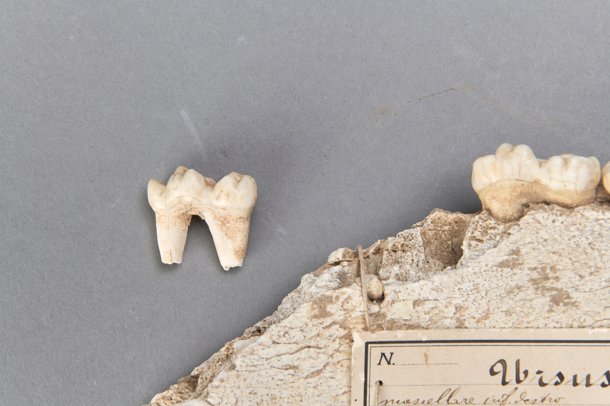 AR_2150_26500.jpg