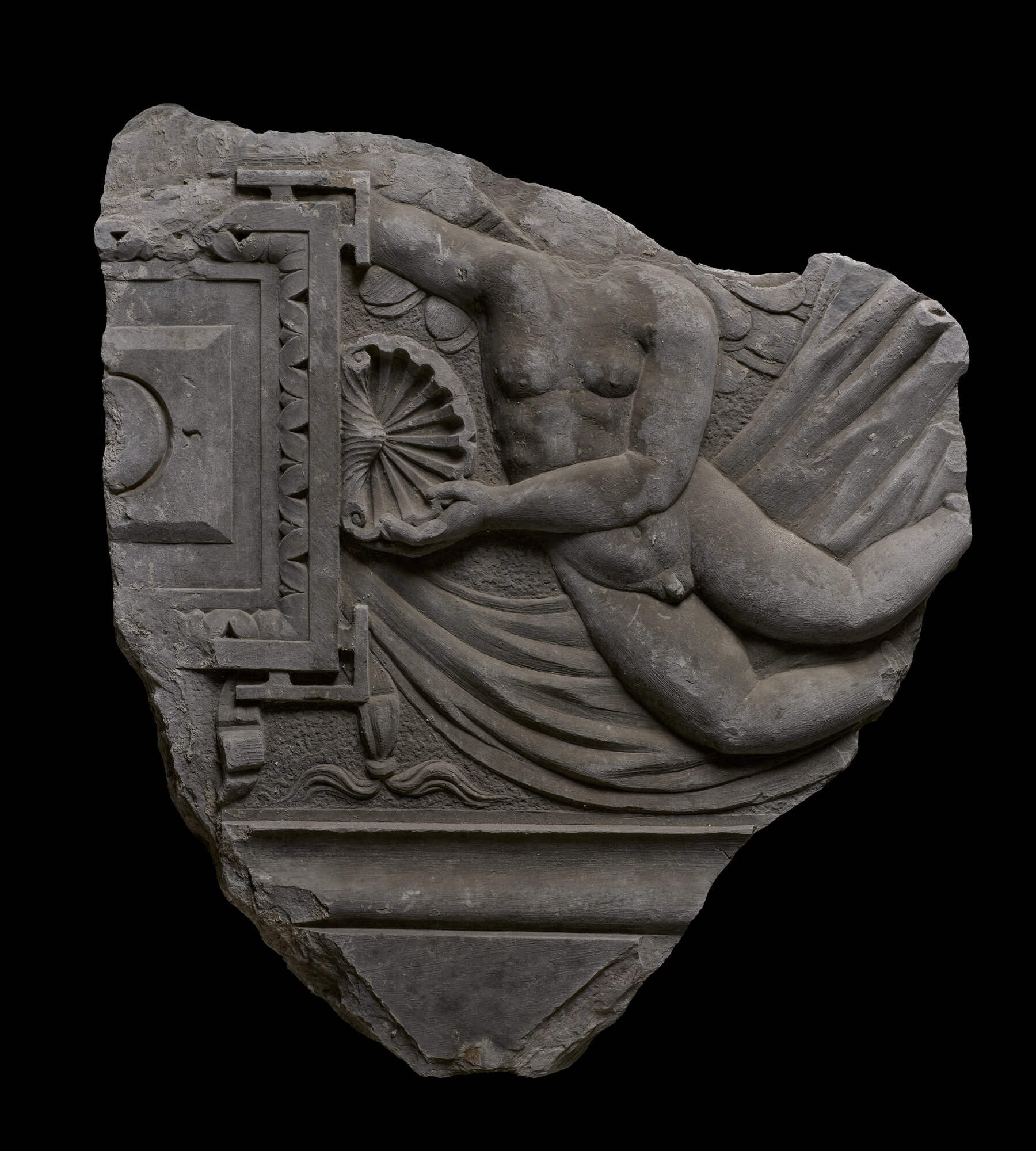 MSA 554.jpg