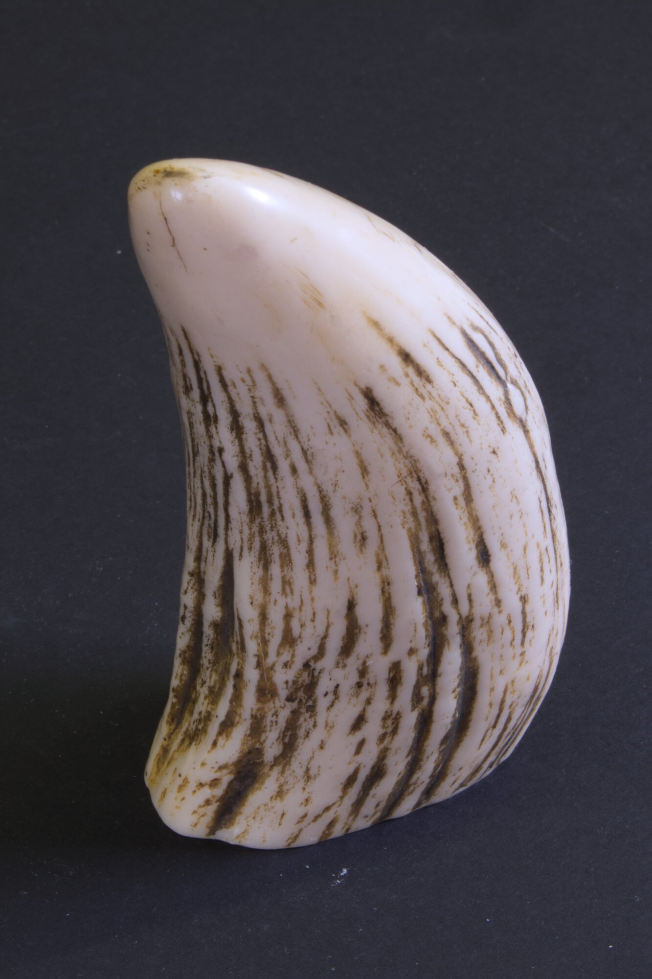 4707_2_1.jpg