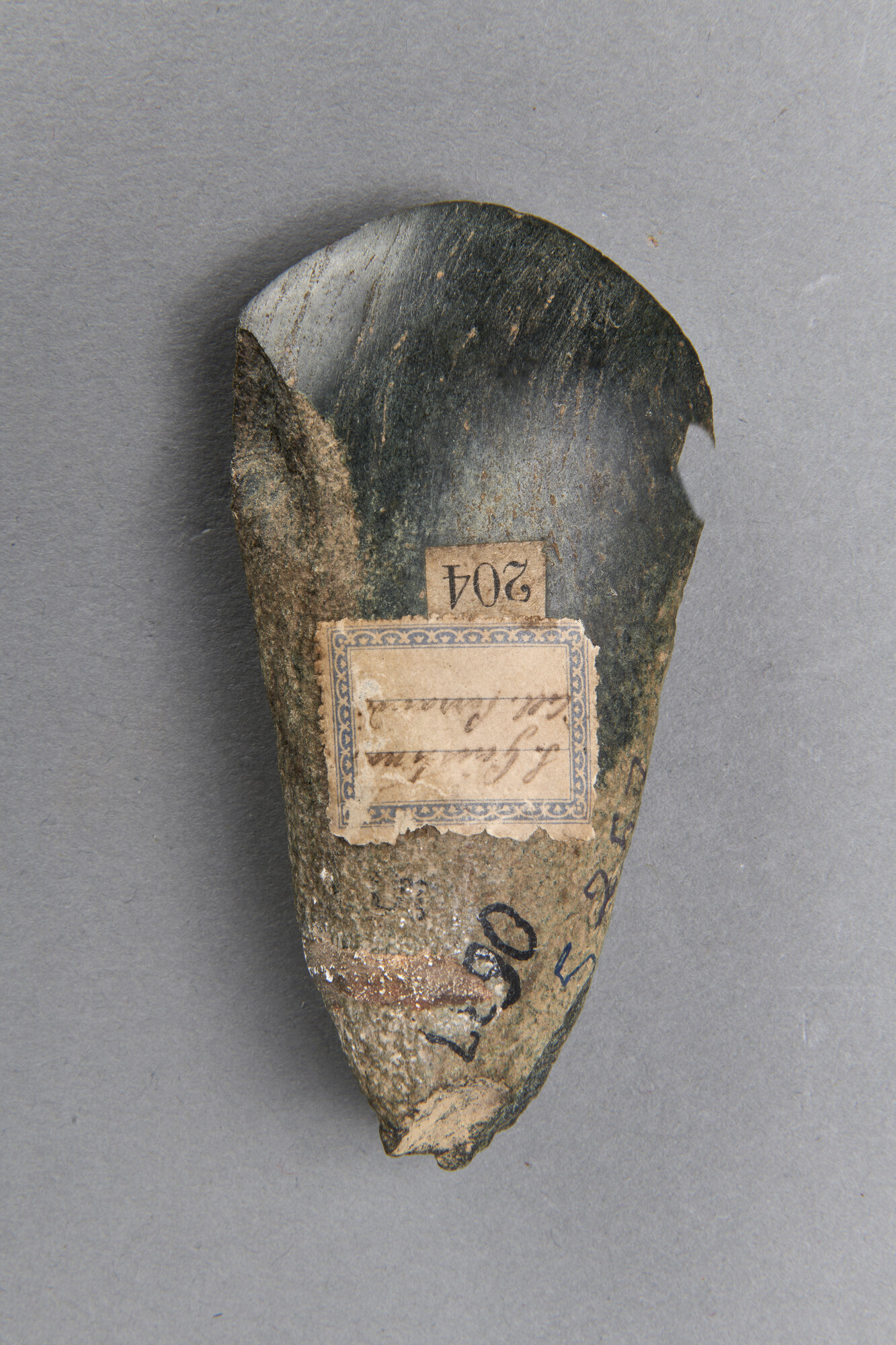 AR_0637_26613.jpg