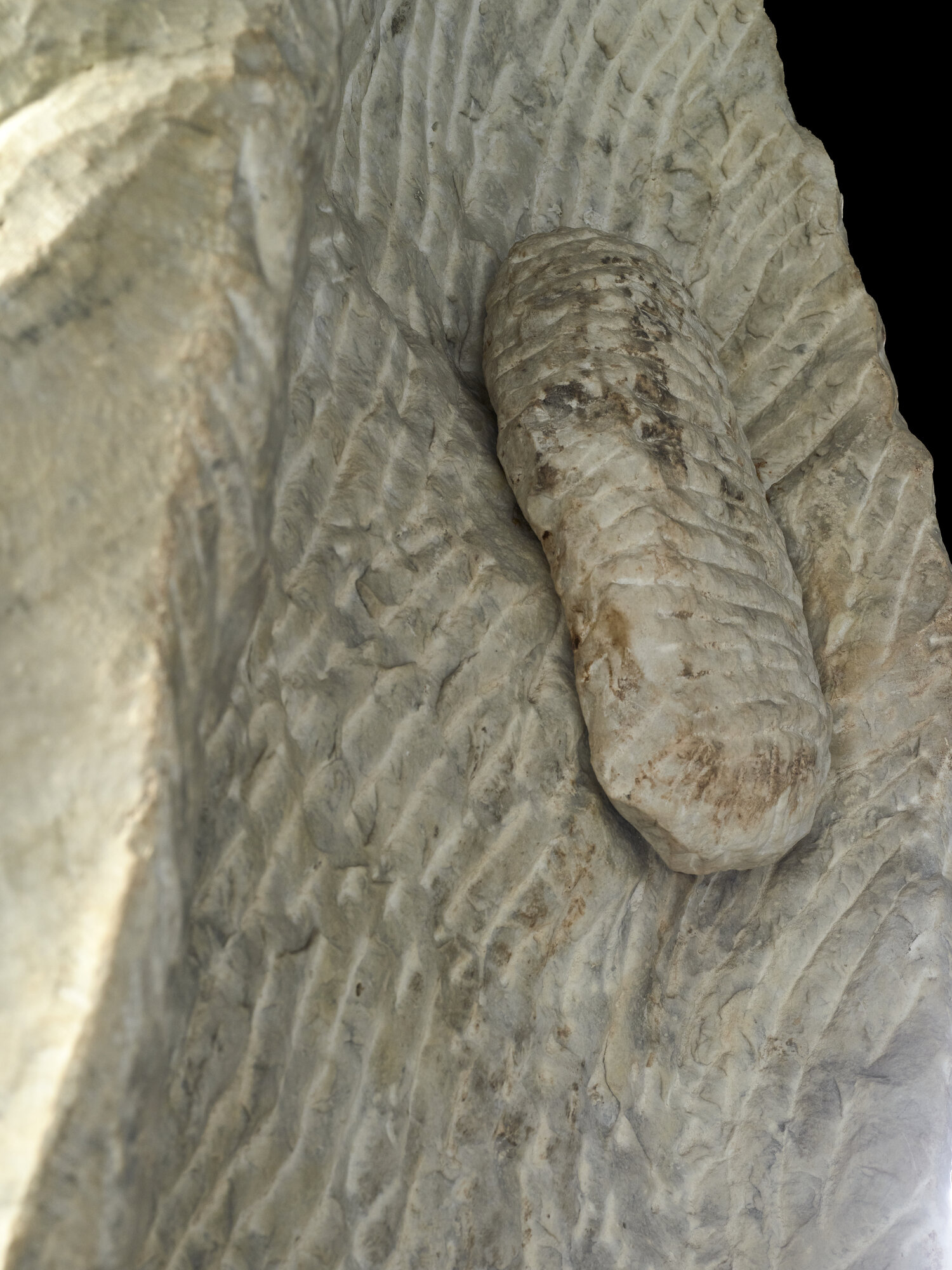 MSA 2874_3.jpg
