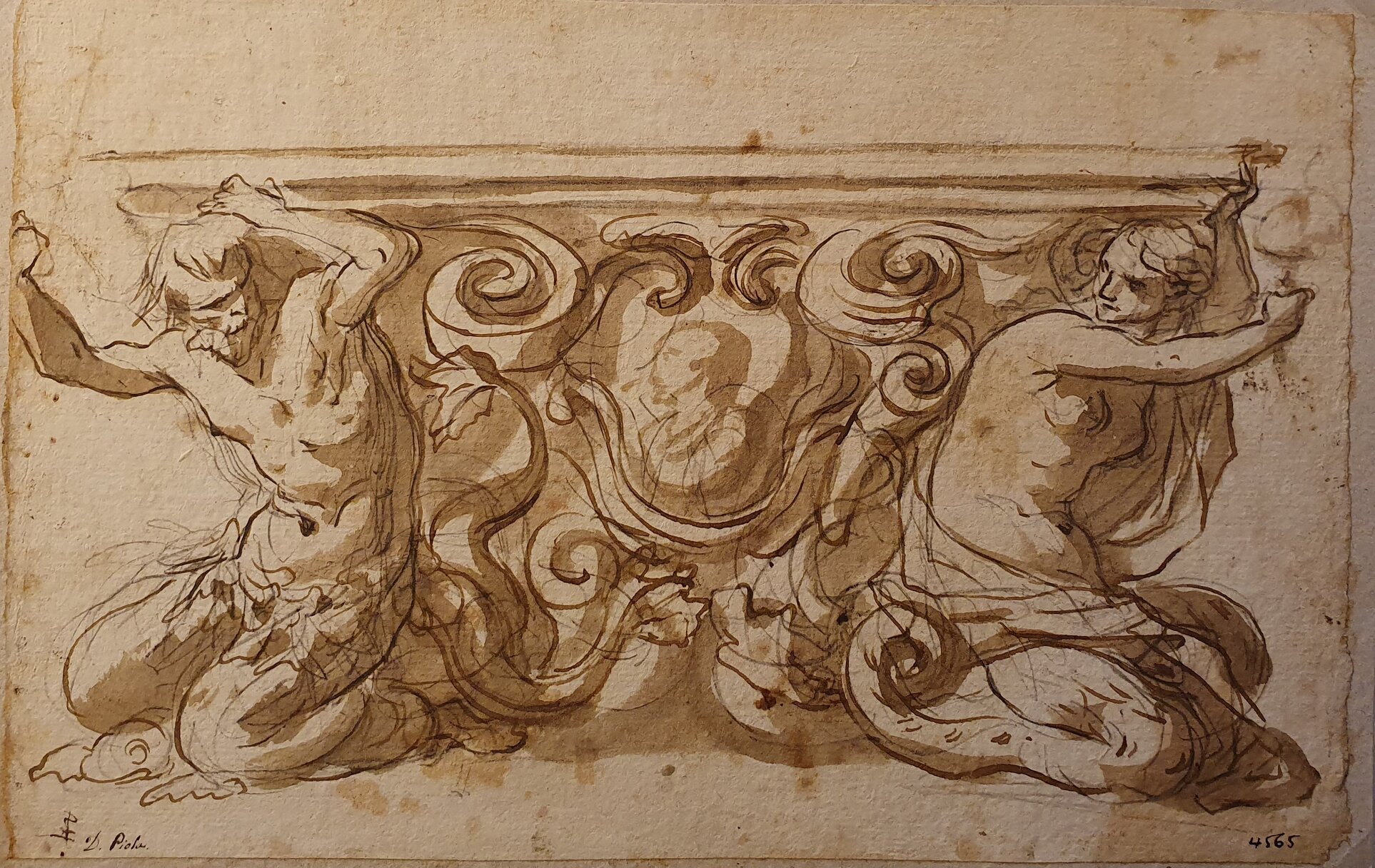 d4565.jpg