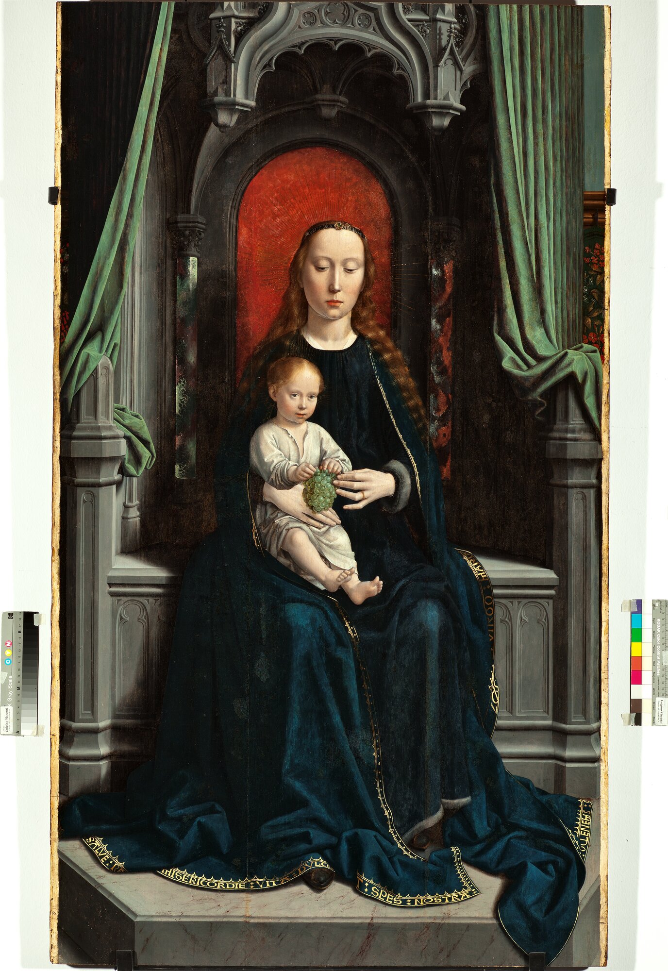 DAVID G. Madonna uva_PB176bis.tif