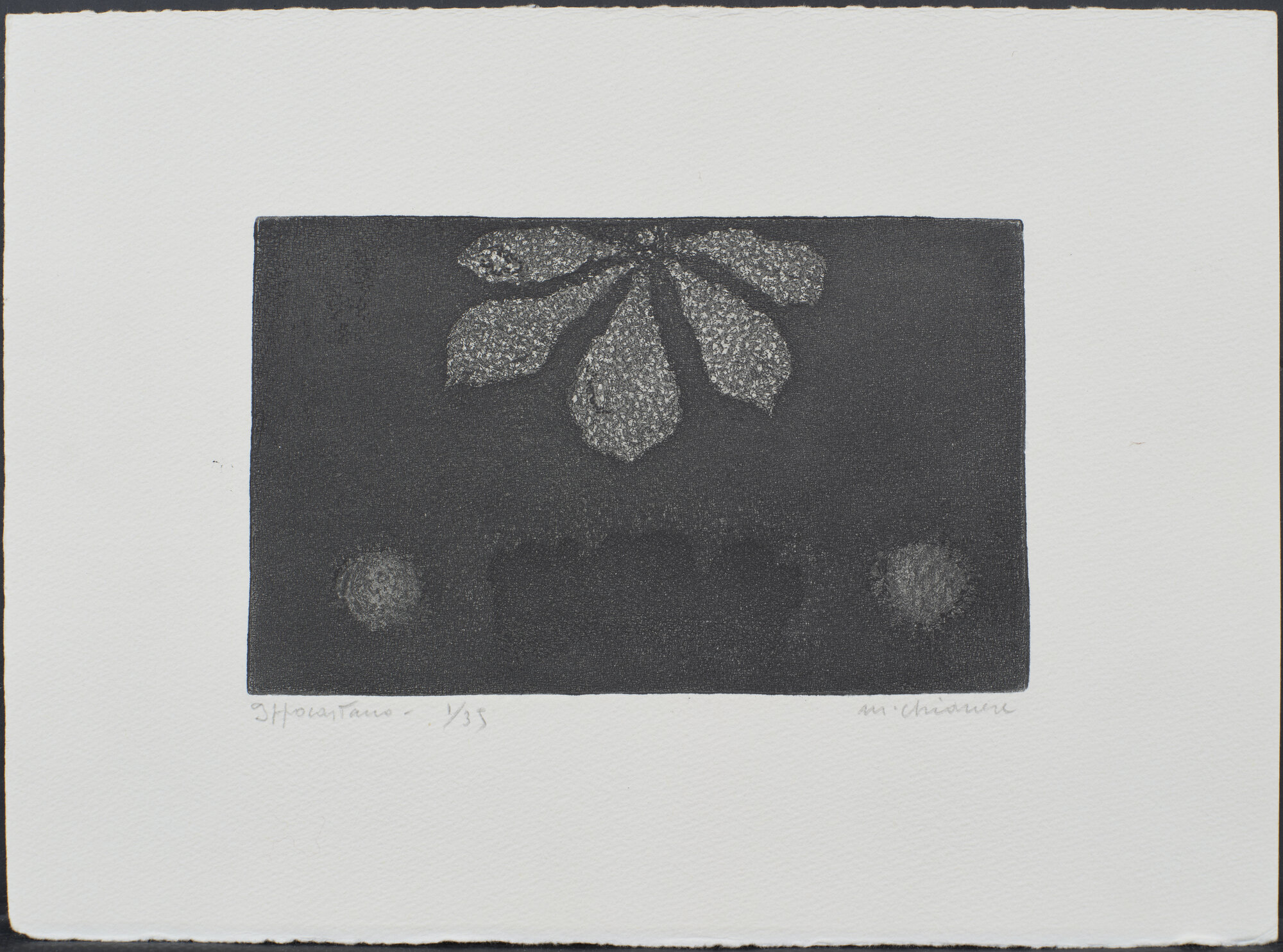 VC_2327 CHIANESE_1906.jpg