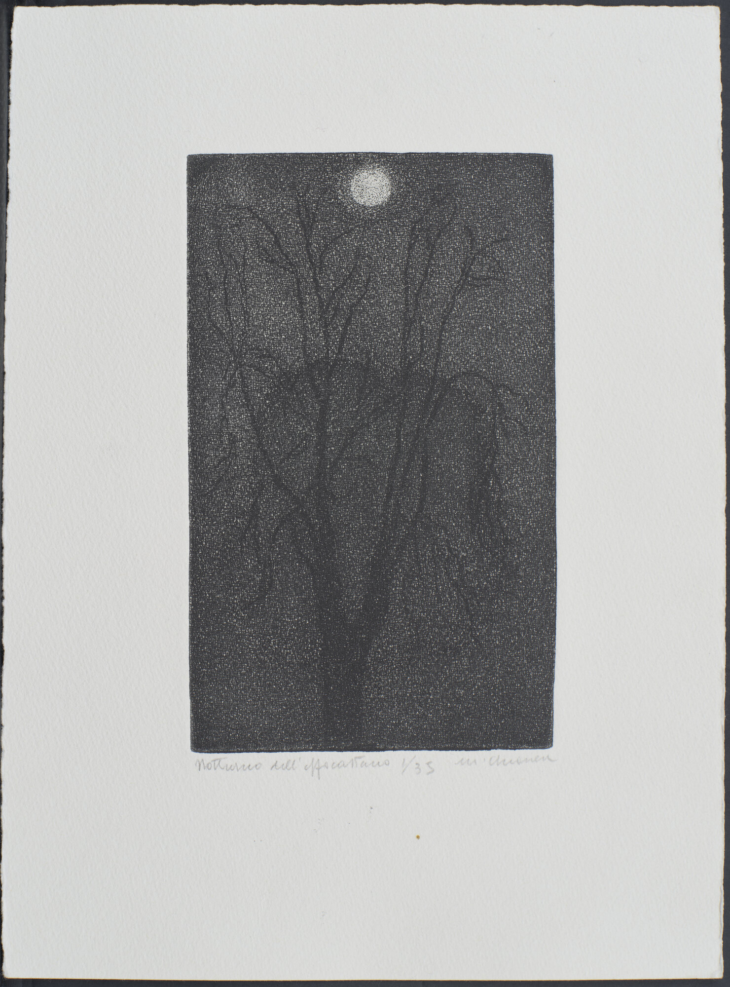 VC_2328 CHIANESE_1905.jpg