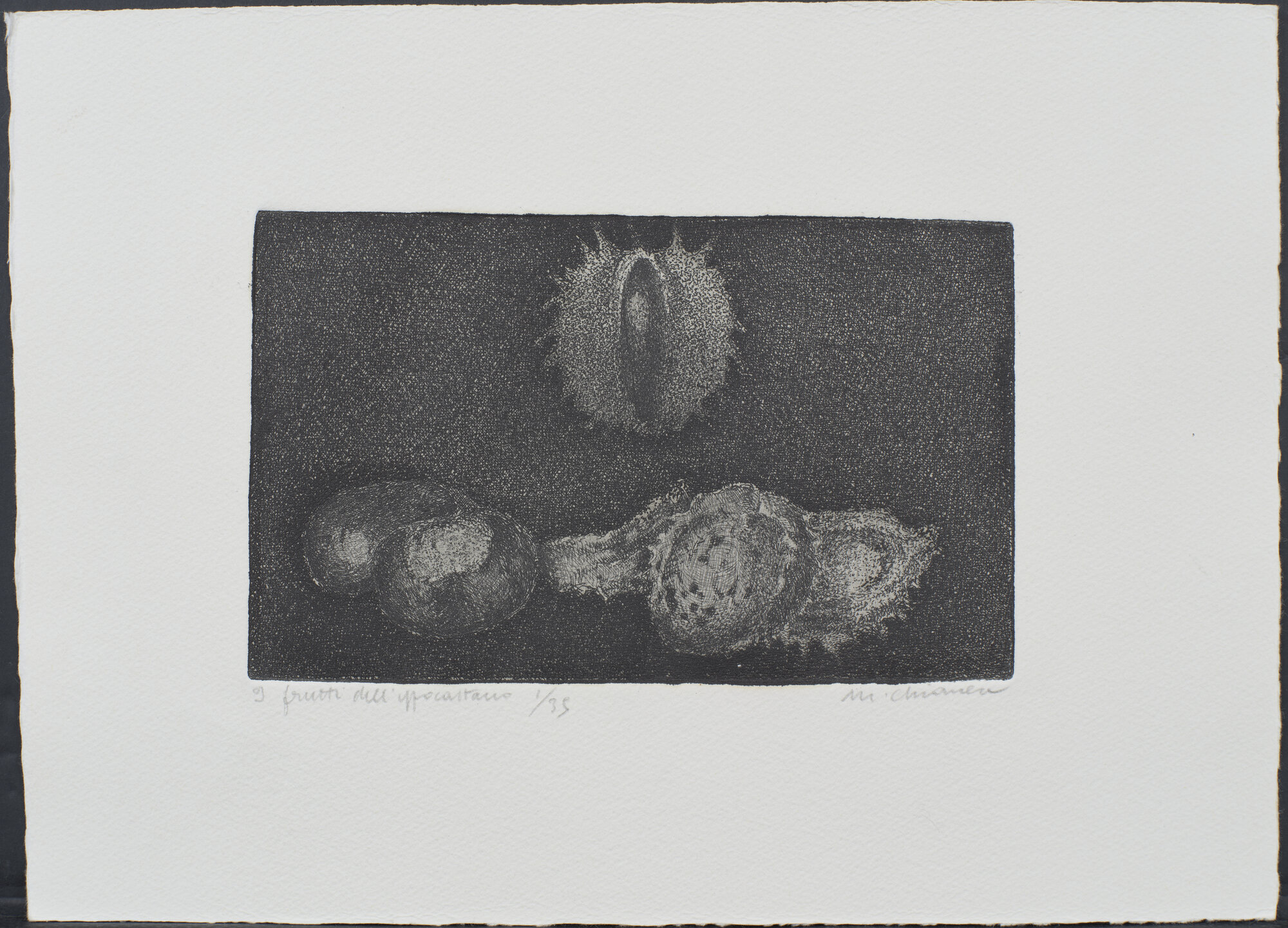 VC_2329 CHIANESE_1904.jpg