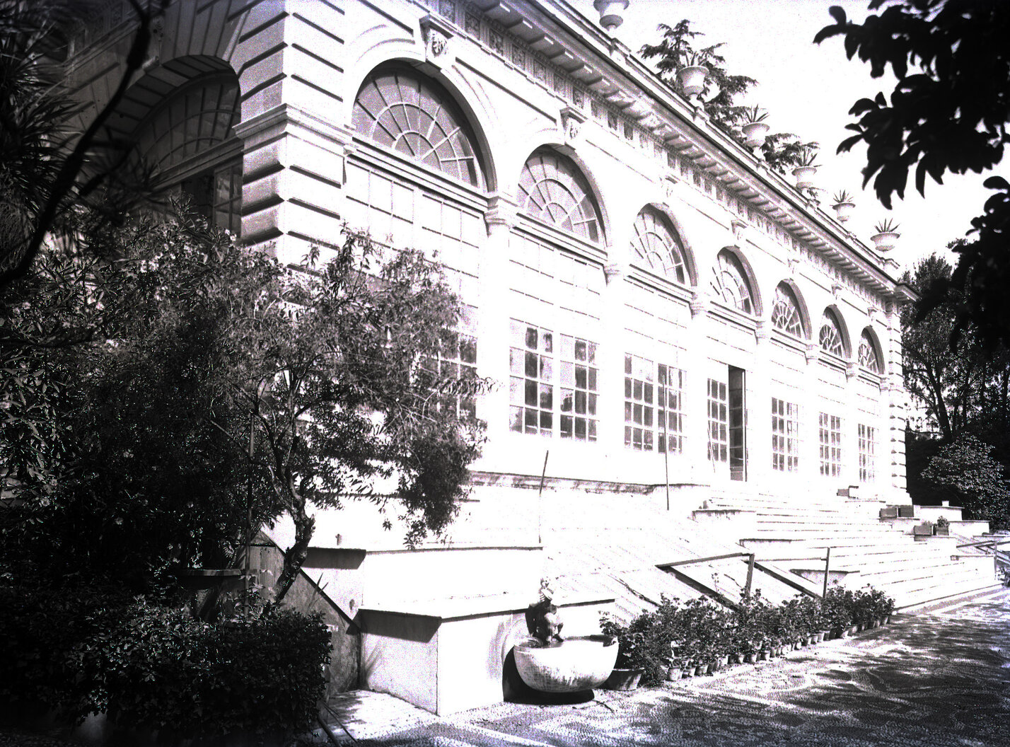3644 - Galleria Portello-Corvetto. Proprietà Pallavicini. Testimoniali di stato serra. 4 agosto 1924.jpg