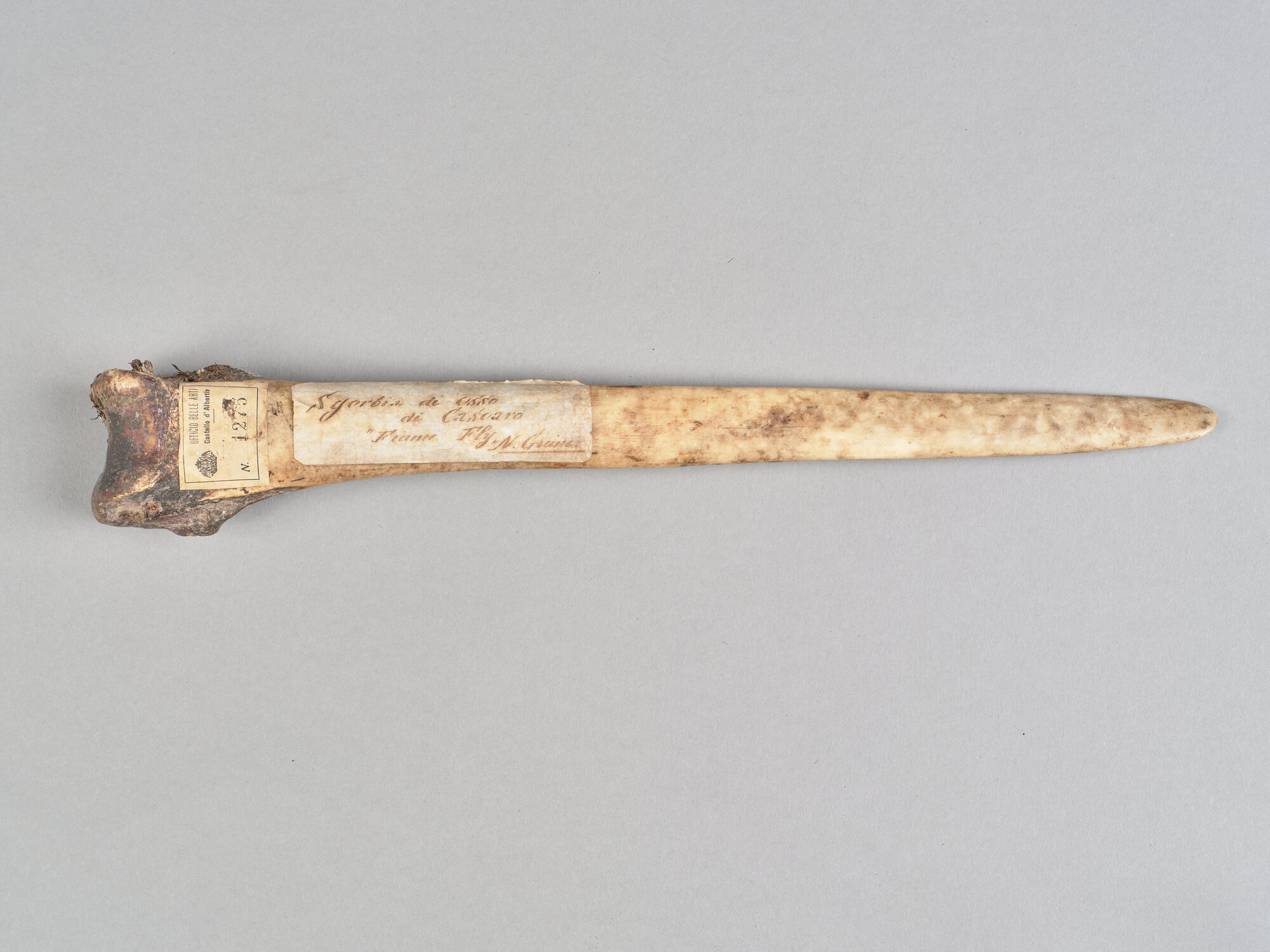 AL_CDA 1275_0551.jpg