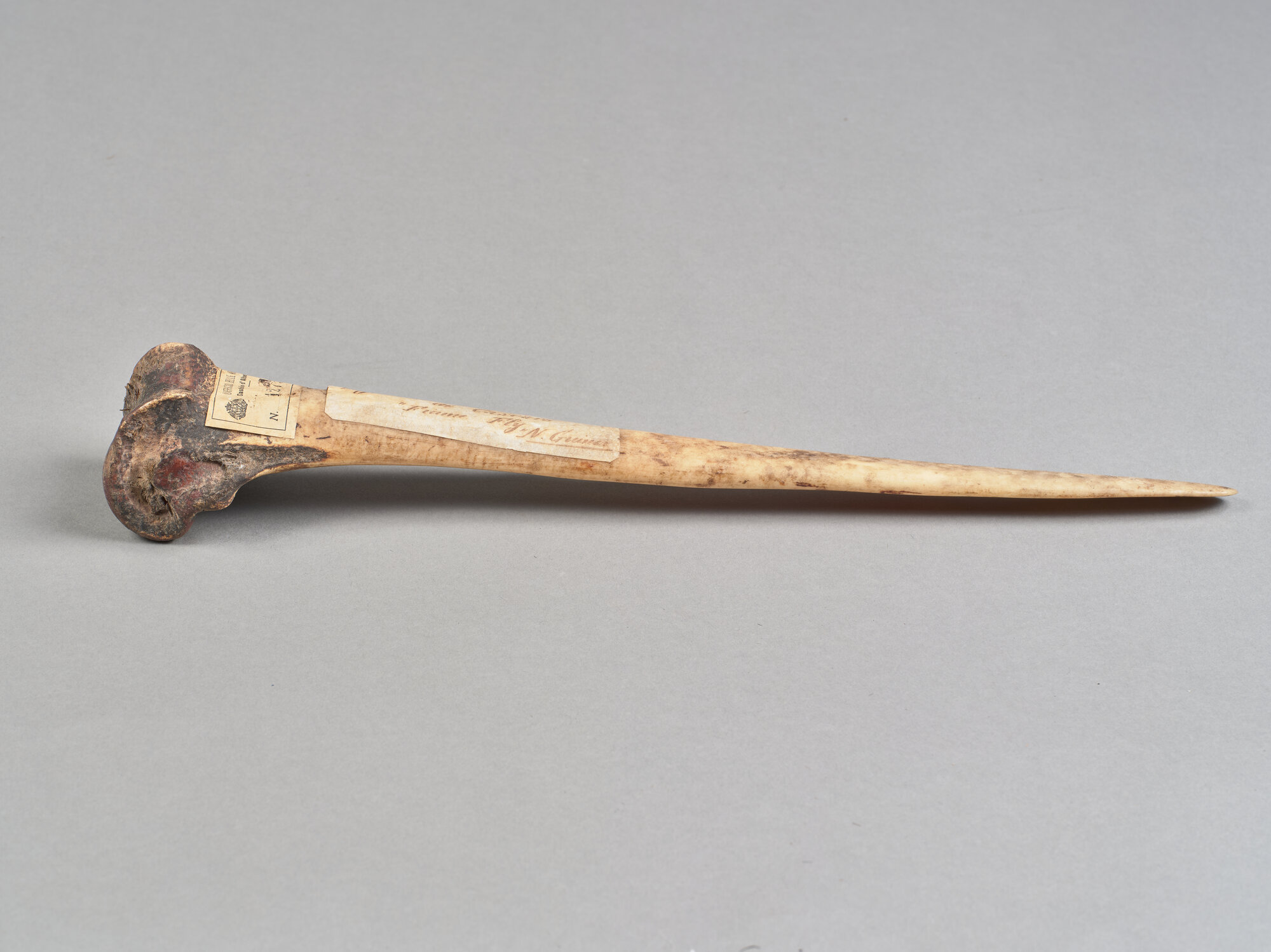 AL_CDA 1275_0552.jpg