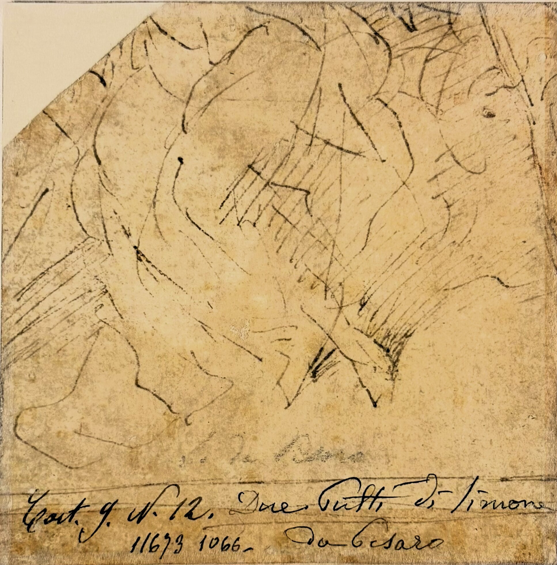 D1958v_1.tiff