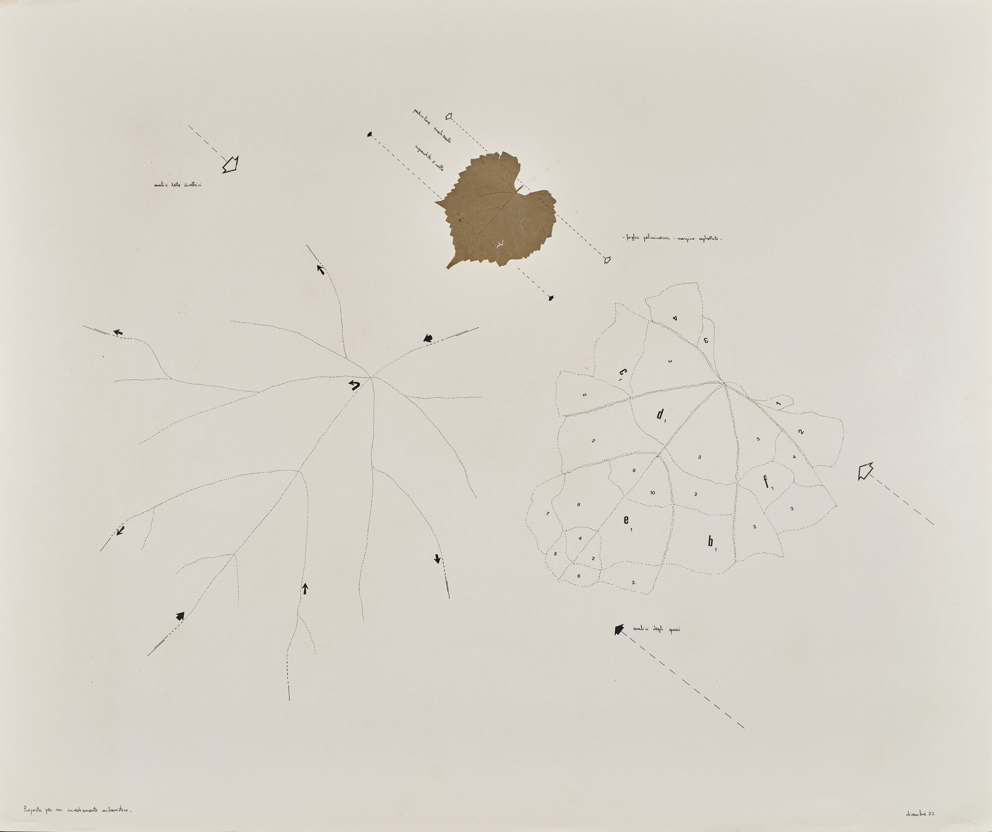 VC_1742 CARRETTA_0798.jpg