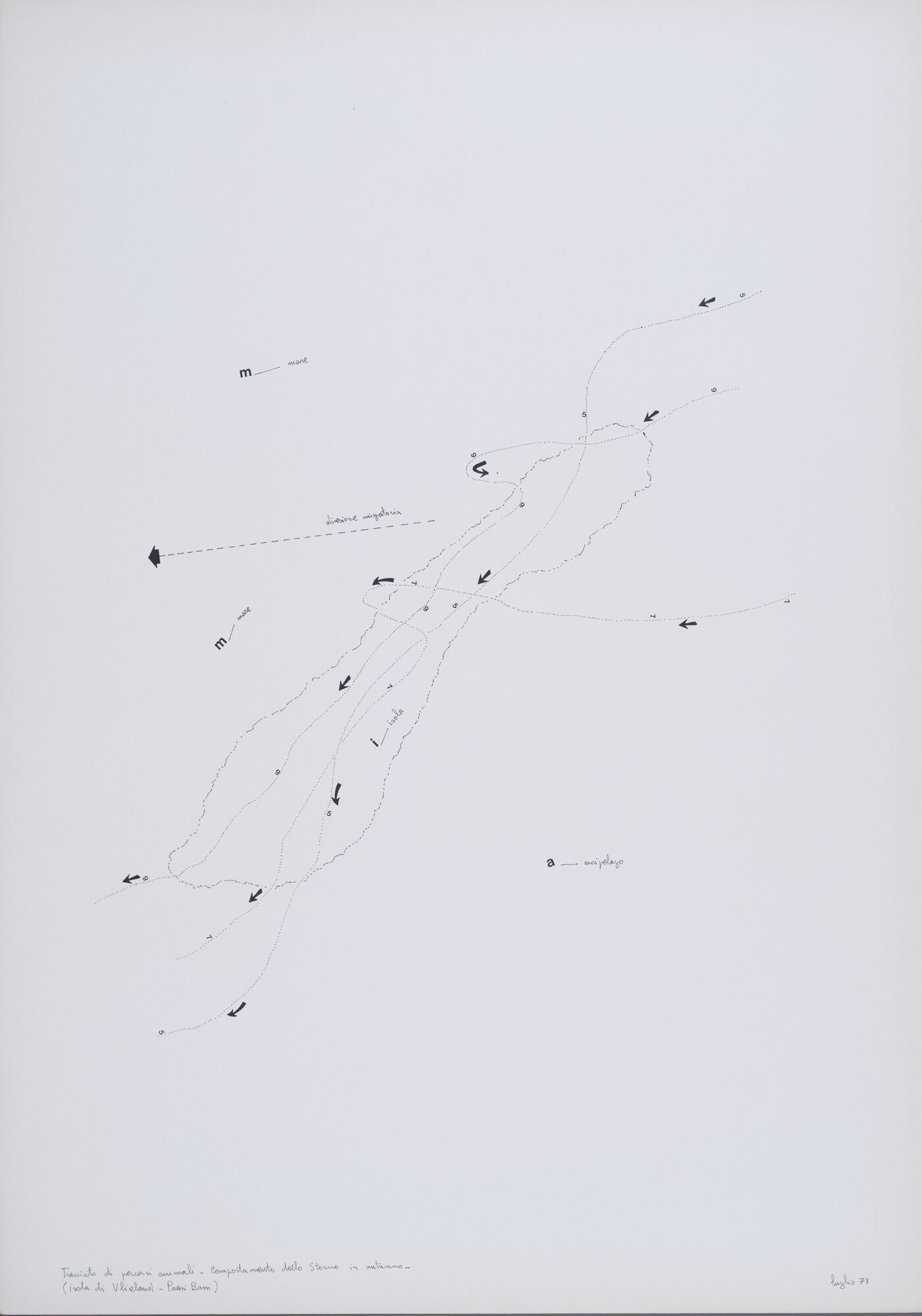 VC_1746 CARRETTA_0841_1.jpg