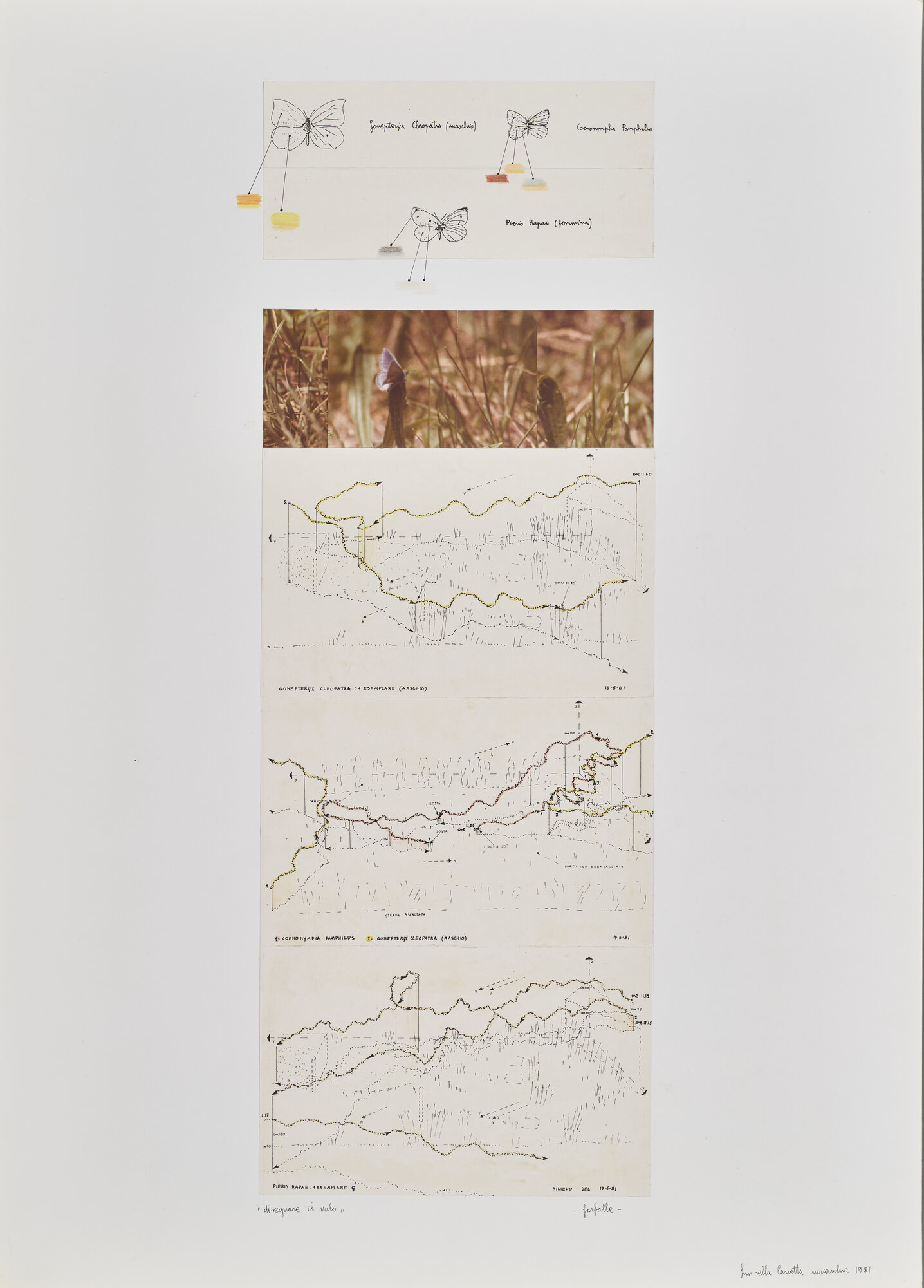 VC_1774 CARRETTA_0795.jpg