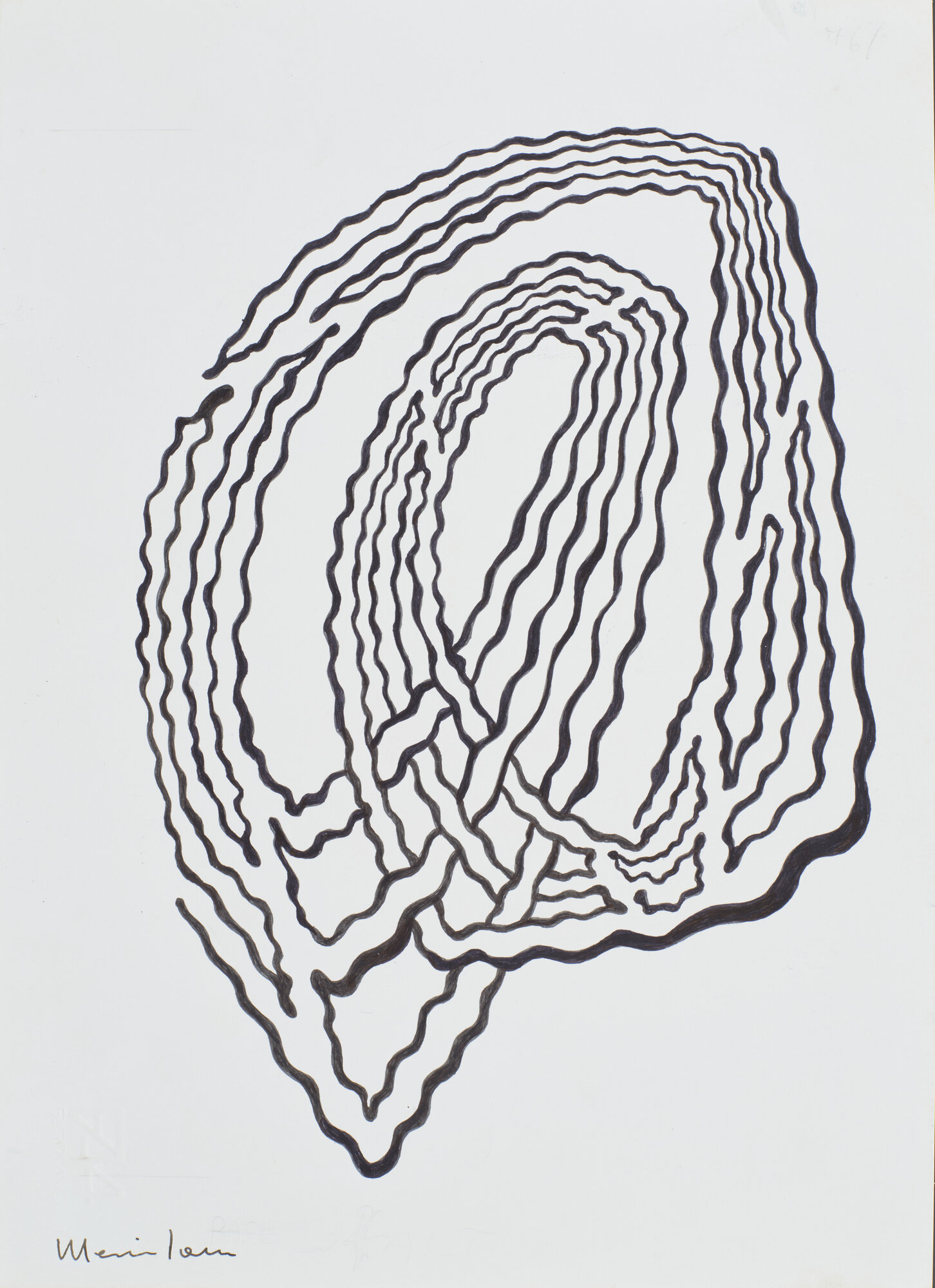 VC_1891 MESCIULAM_1374.jpg