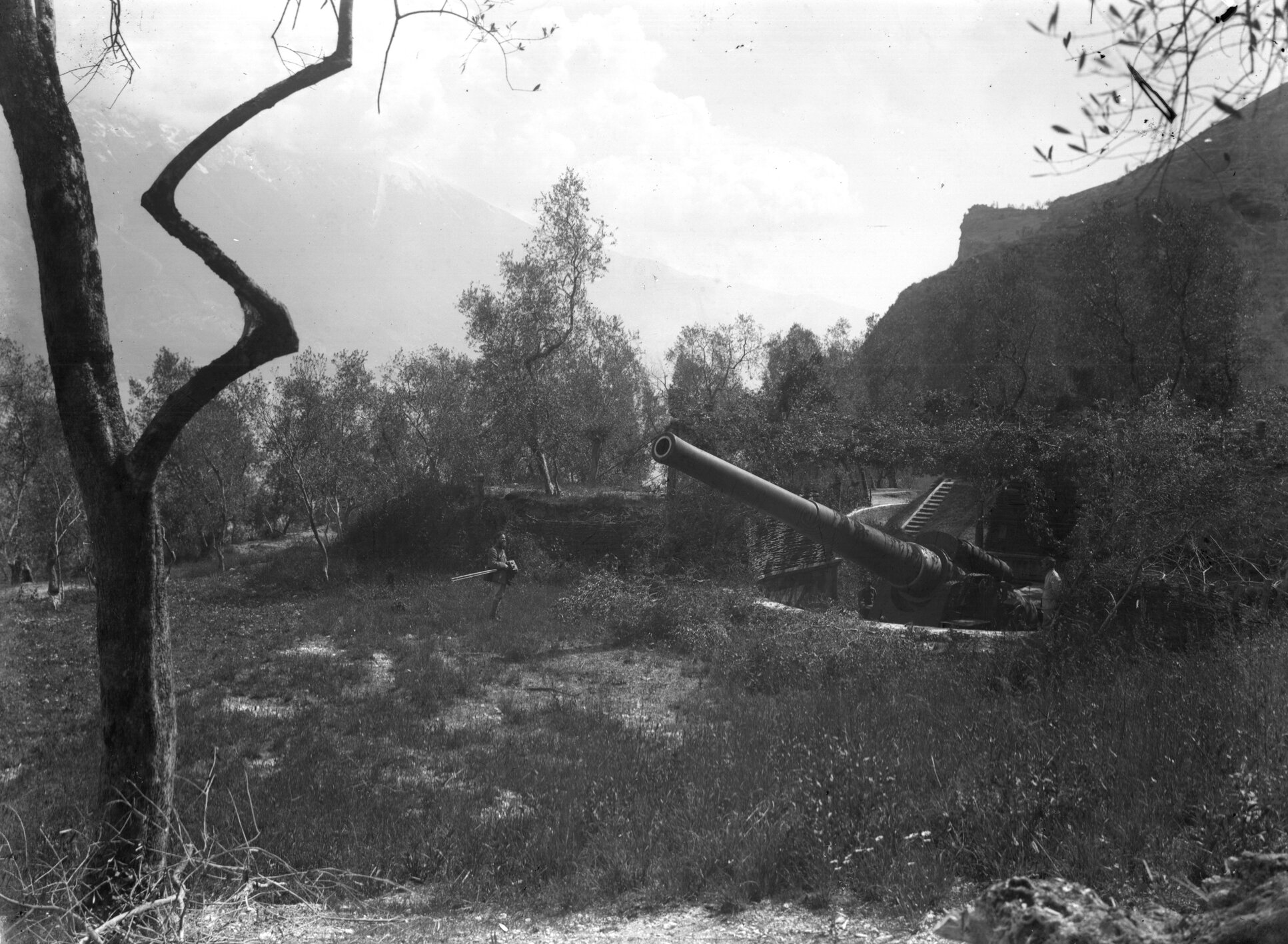 c51682  guerra 15 18 cannone 13x18 4657.1.tif