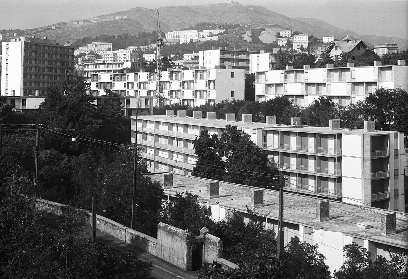 c38572 Zona B. Brea 2 settembre 1954.jpg