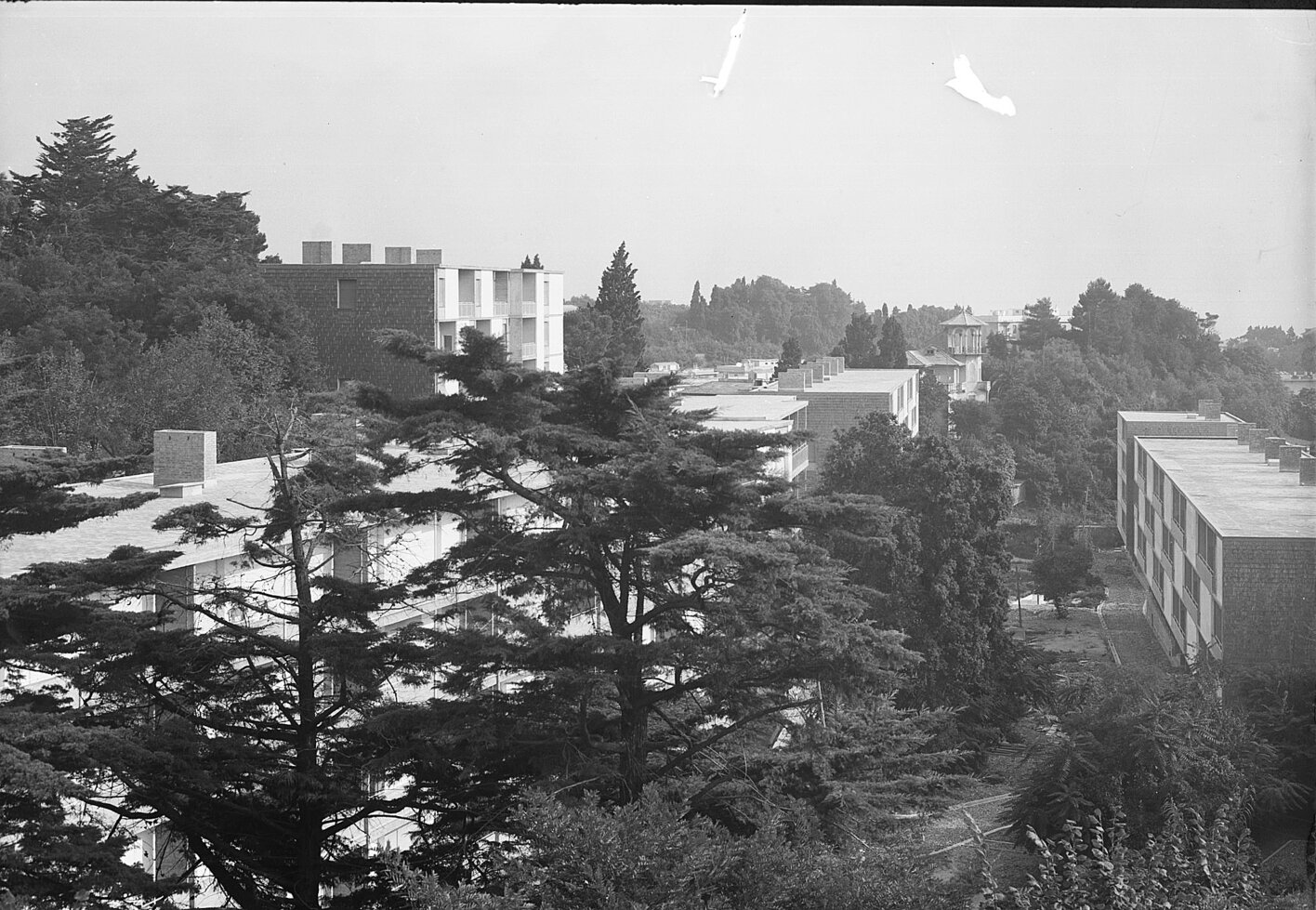 c38579 Zona B. Brea 9 settembre 1954.jpg