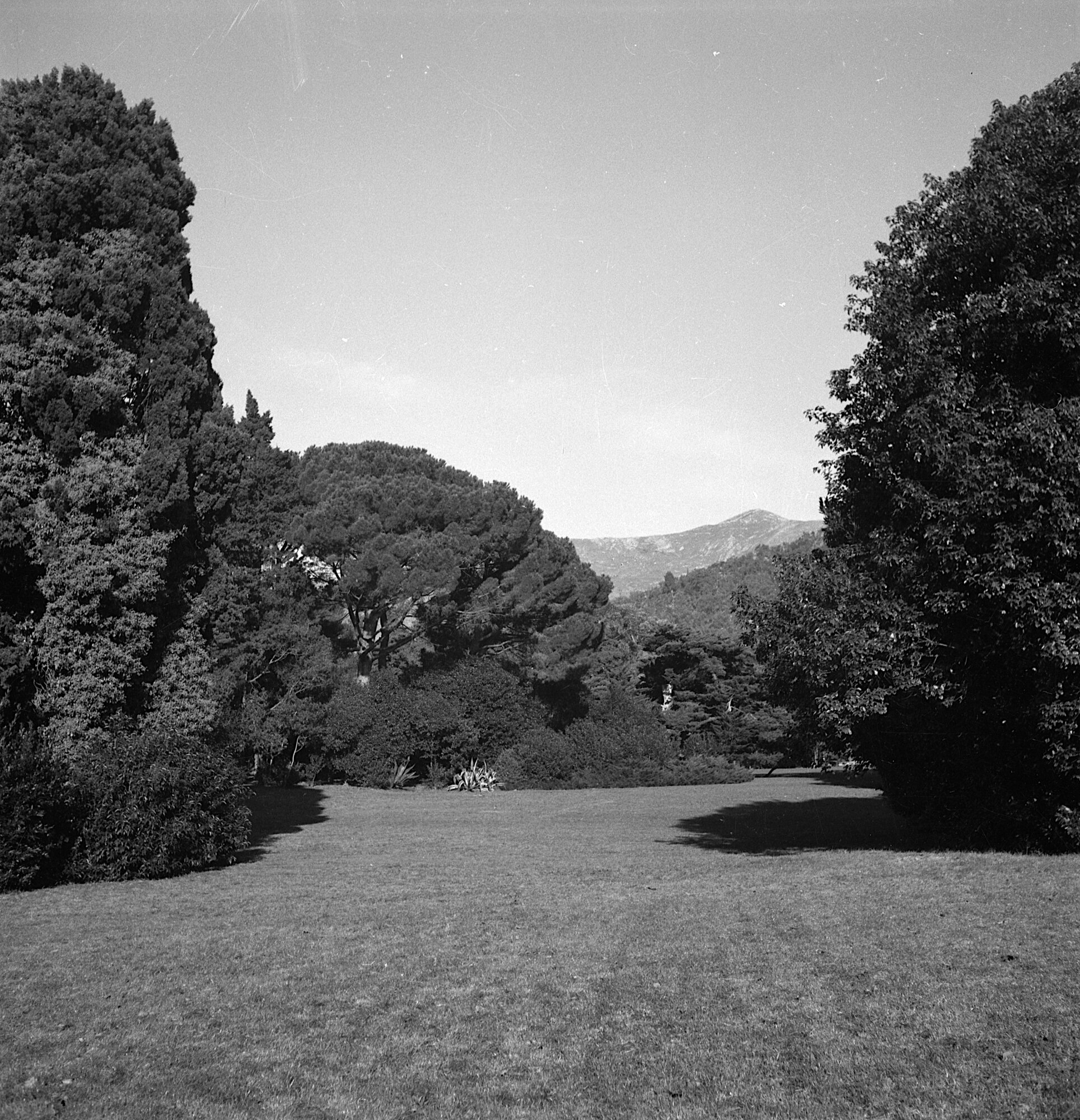 c7764_Nervi_Parco_20.11.48 p..tif