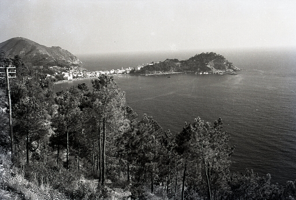 c1963.jpg