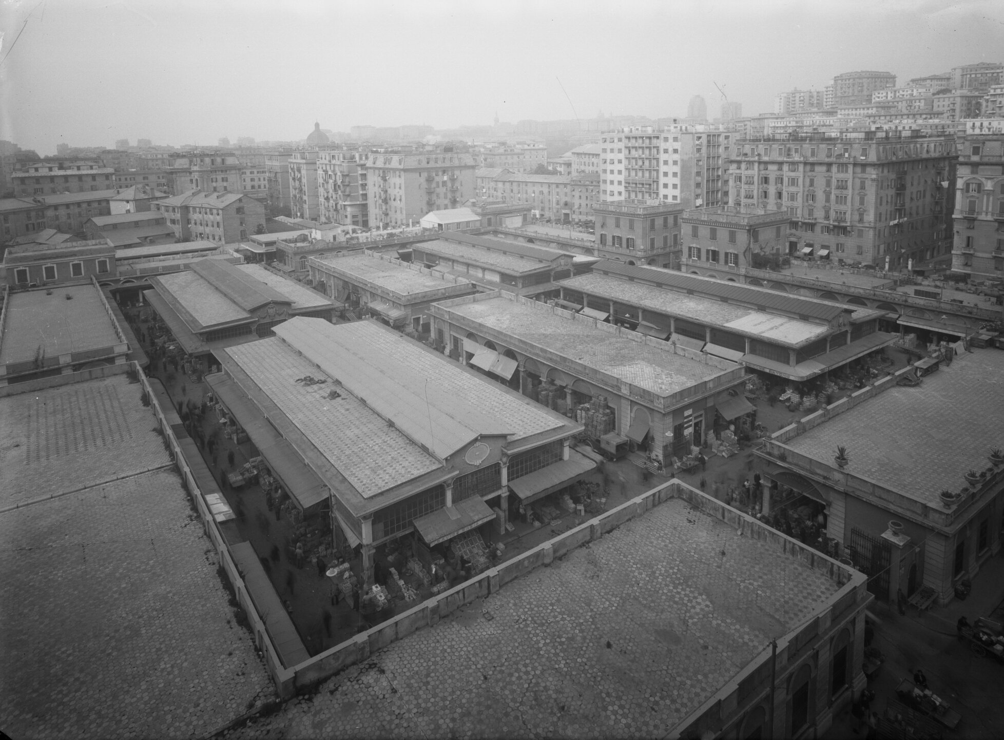 c28838 mercato c. sardegna 13x18 3361.4 11 maggio 1954.tif