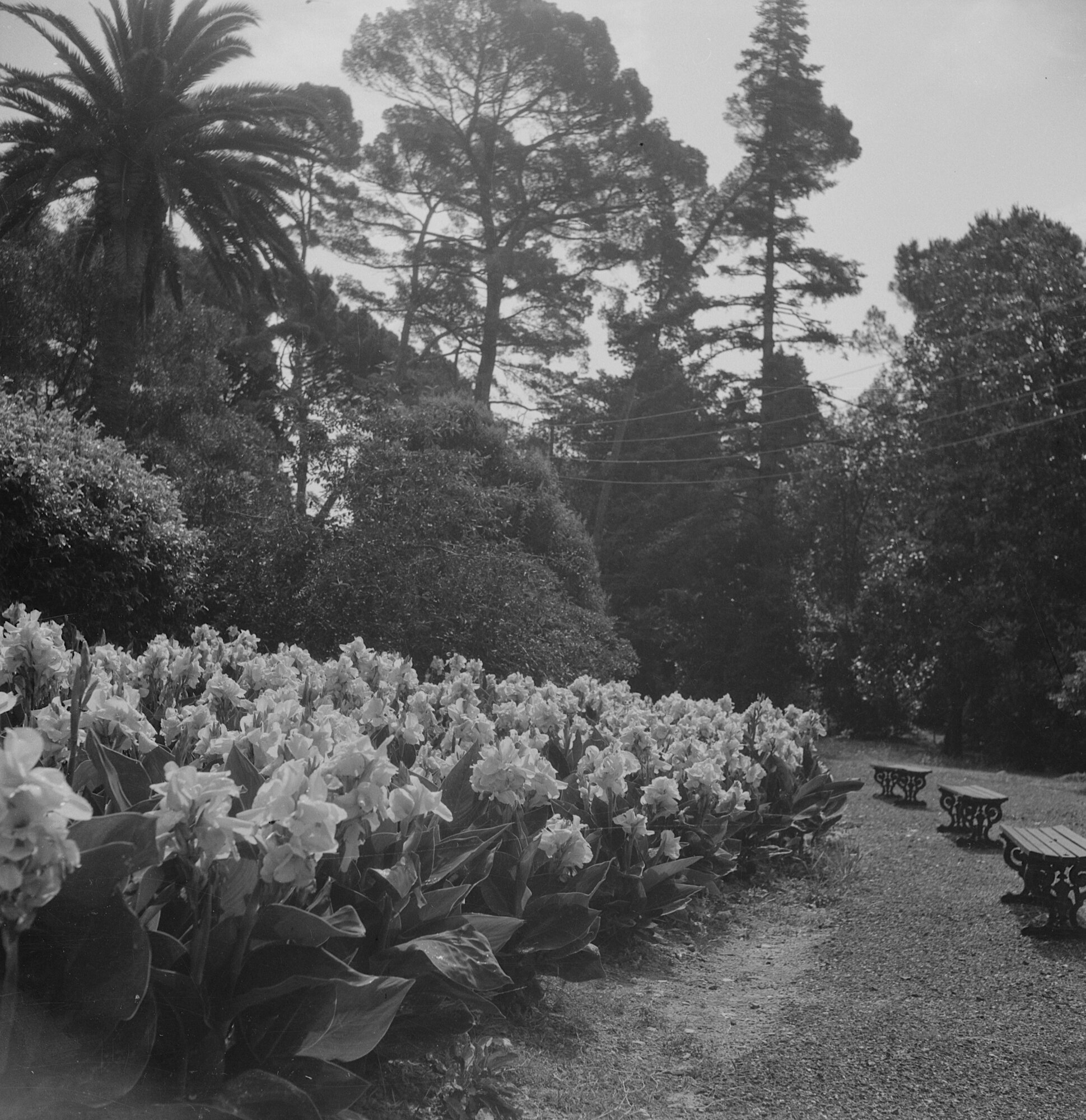 C010025M8_c8906_00001 p. 6x6.tif