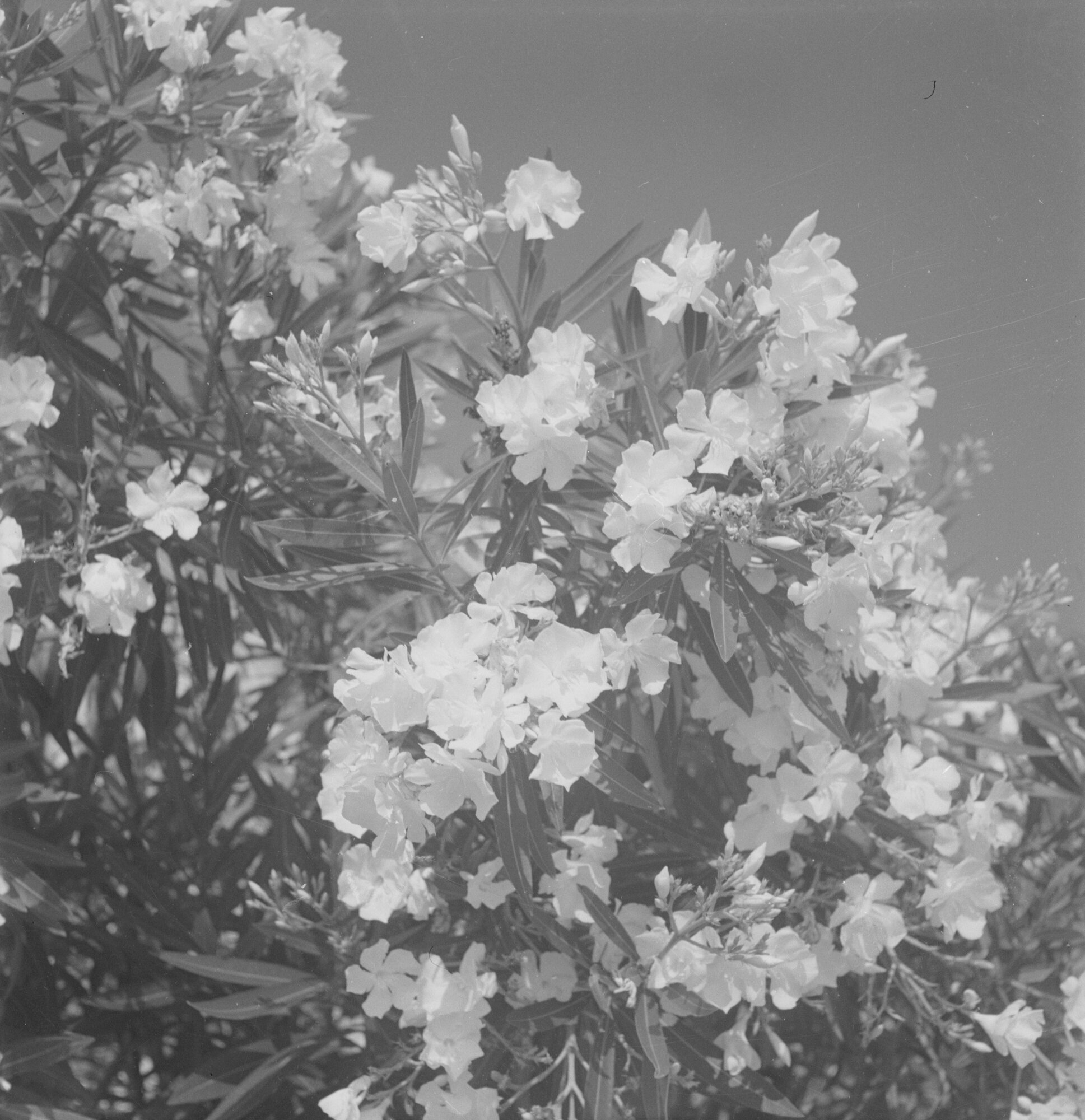 C010025M8_c8912_00001 p. 6x6.tif