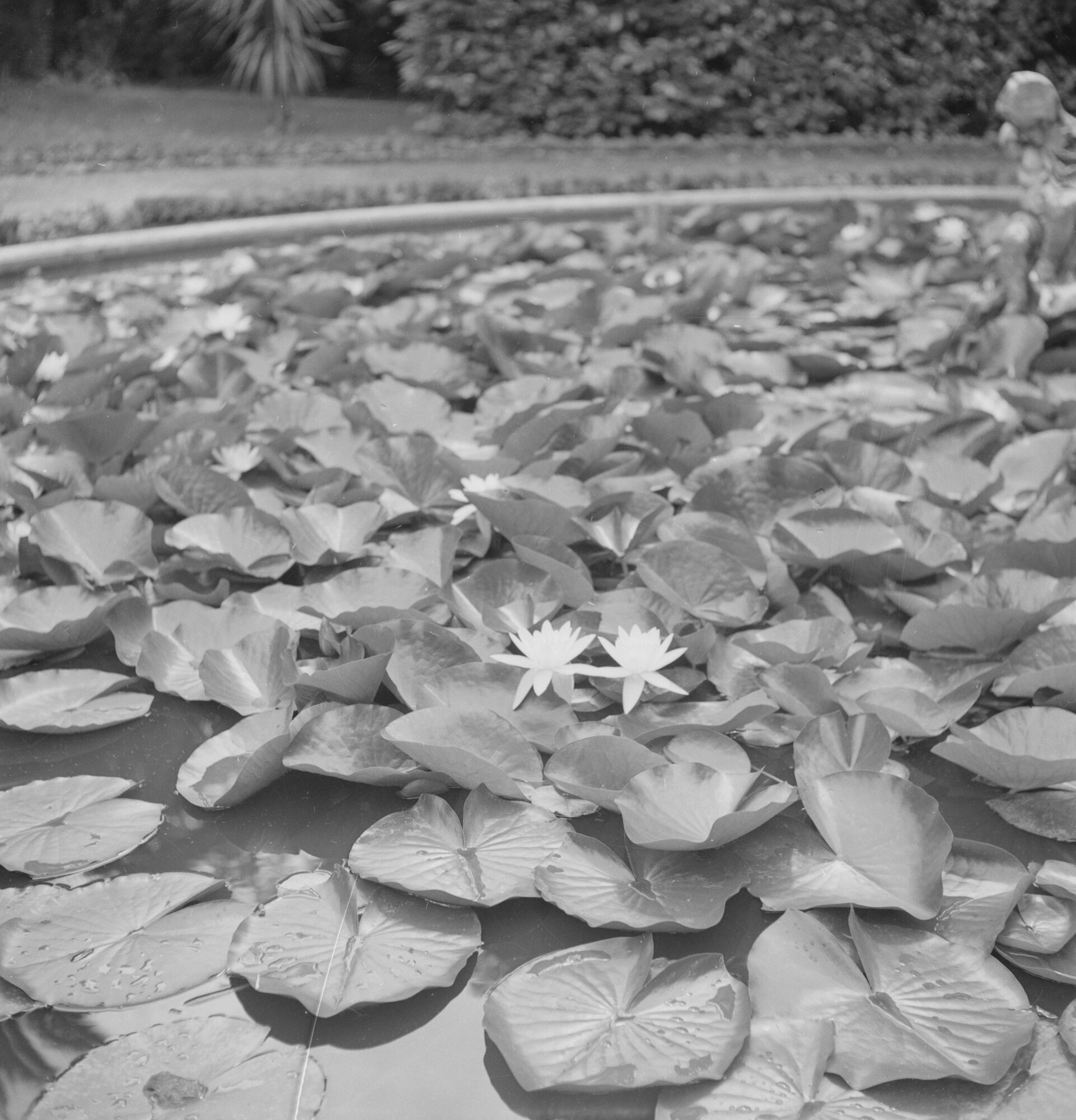 C010025M8_c8914_00001 p. 6x6.tif