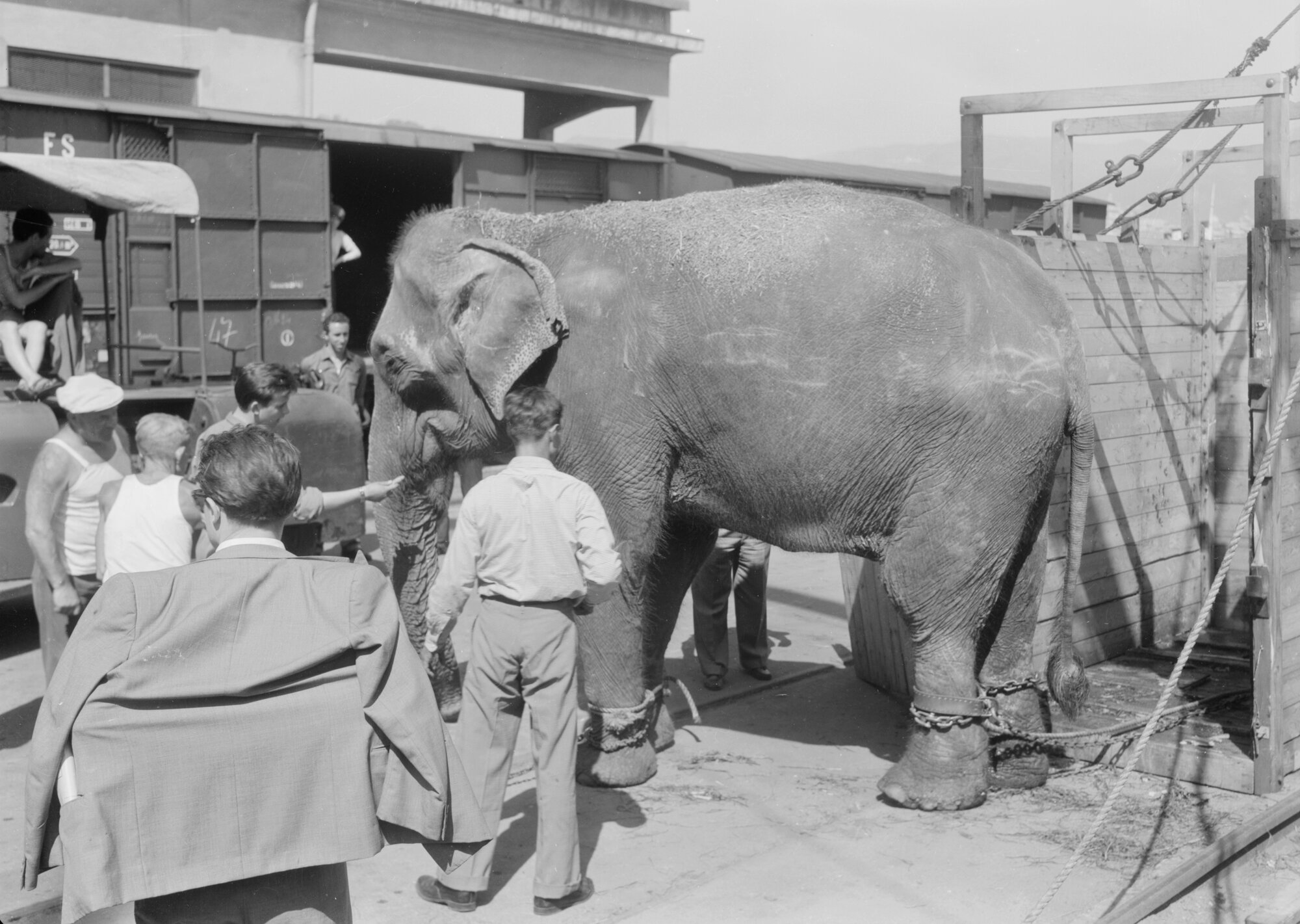 C010025M8_c11113_00001 p. data.tif