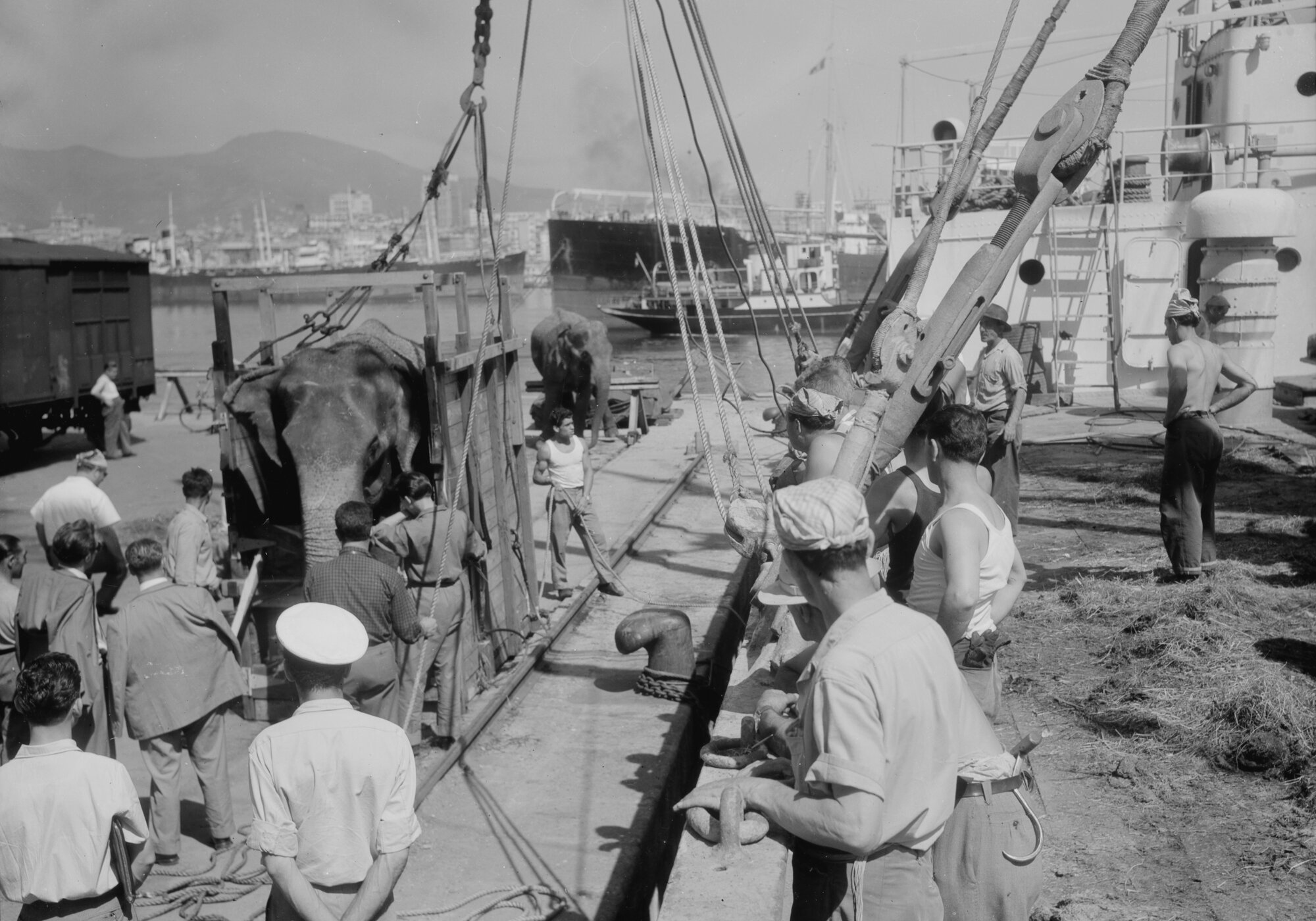 C010025M8_c11116_00001 p. data.tif