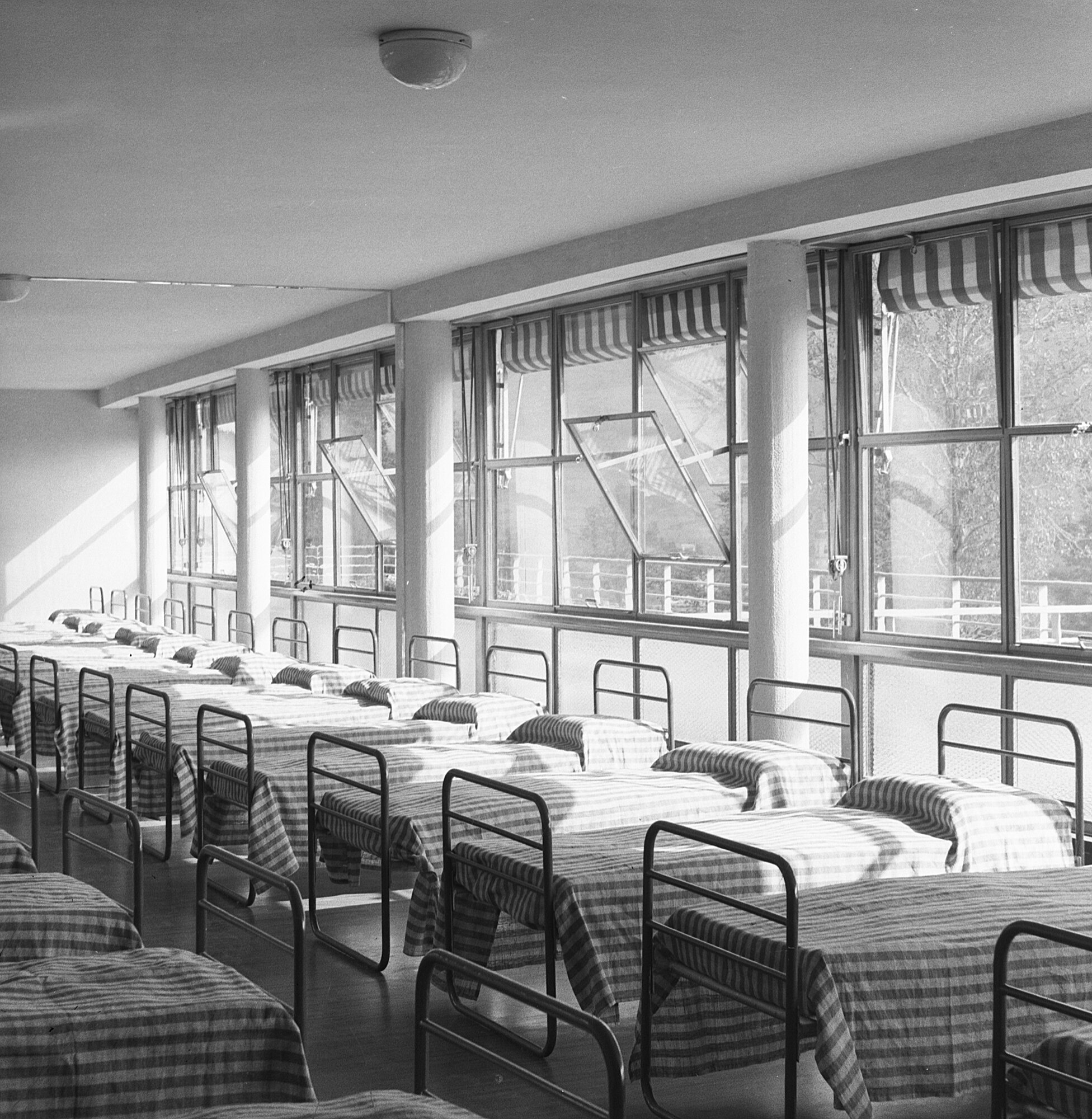 c22050 Colonia S. Stefano D'Aveto Camerata.tif