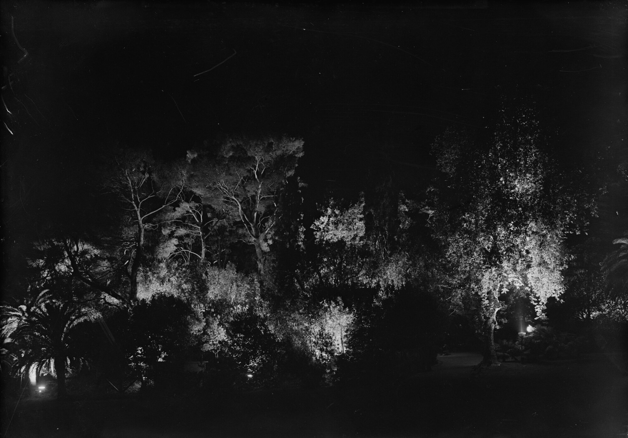 c13795_Nervi_Notturno_30.9.1956.jpg