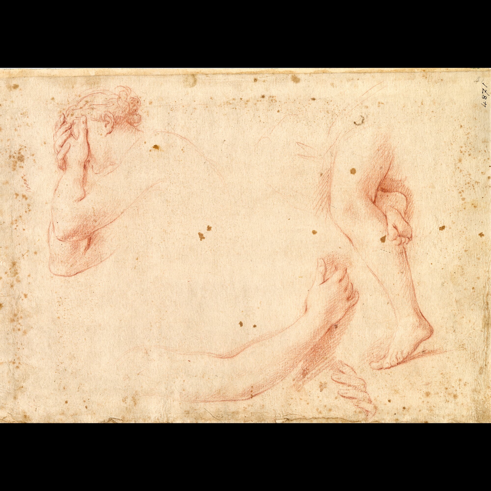 D4871_Franceschini M..tif