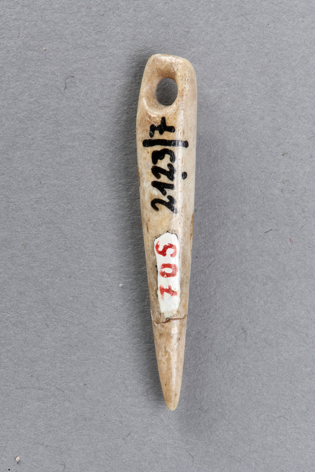 AR_2123-7_26355.jpg