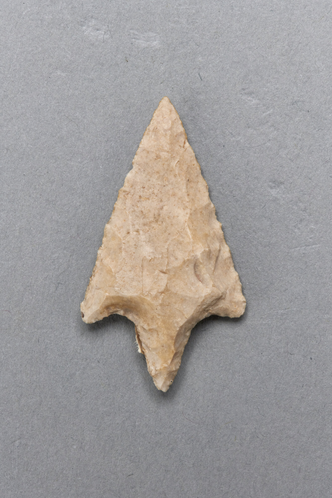 AR_329_26987.jpg
