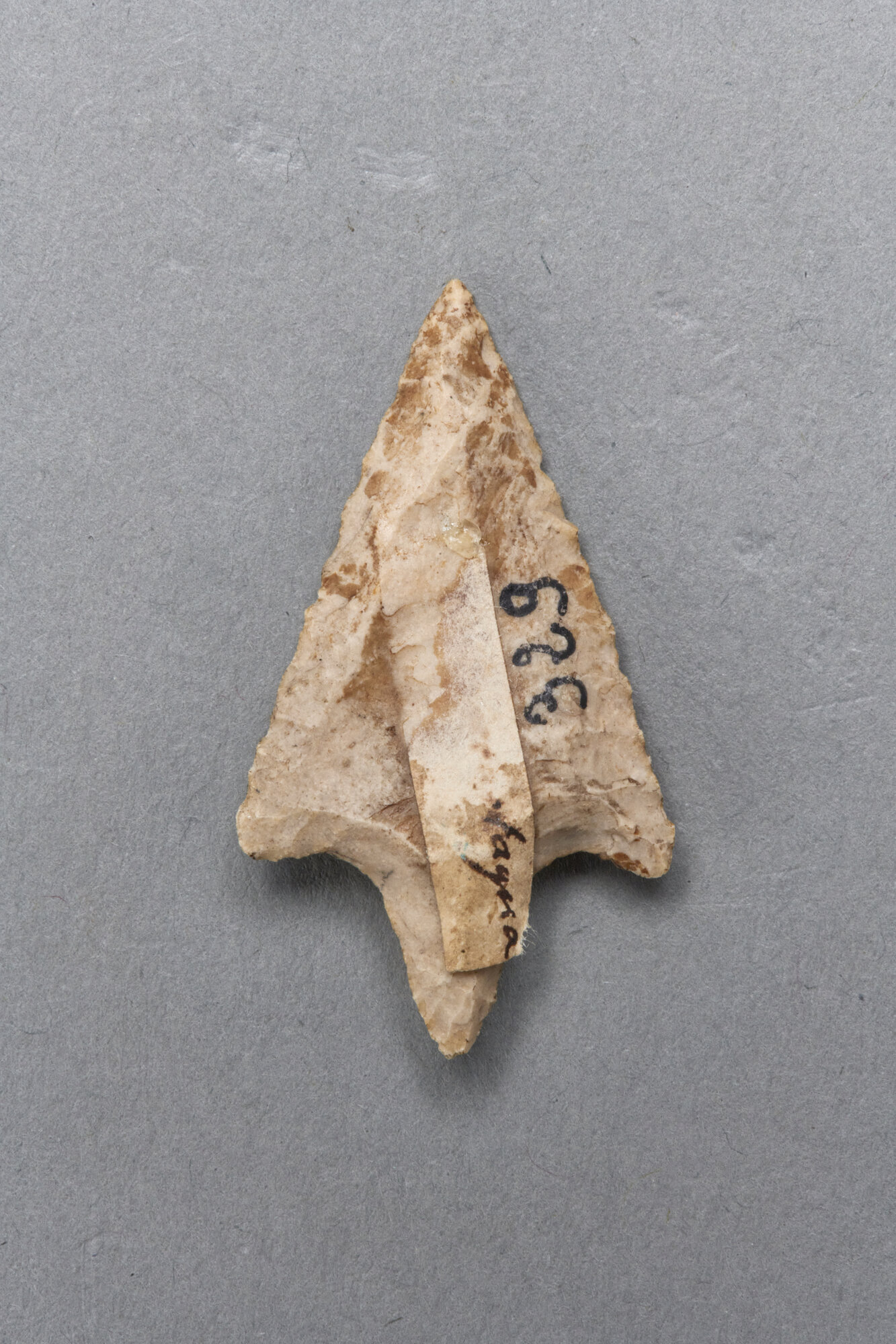 AR_329_26988.jpg