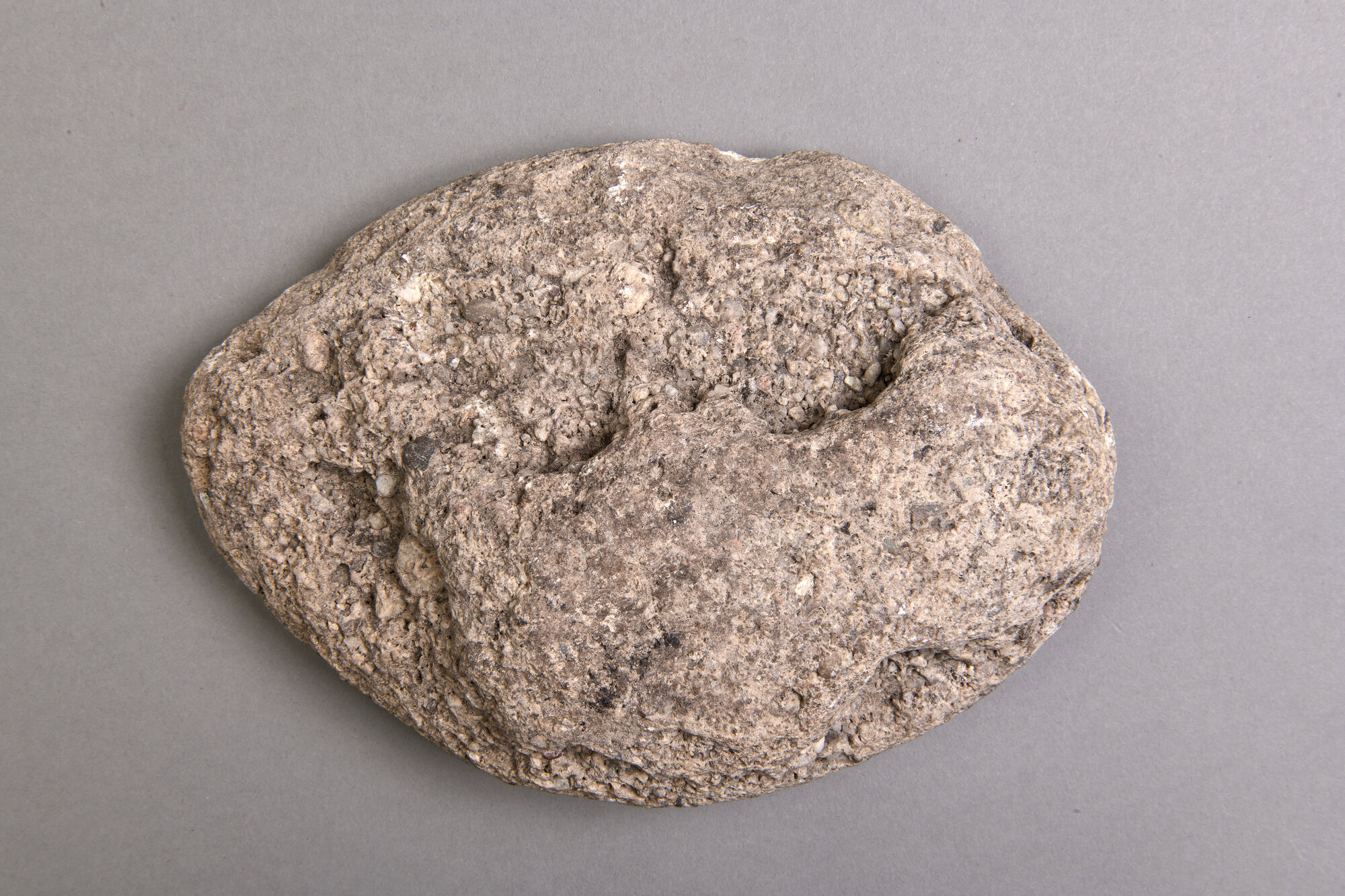 AR_01153 276_35990.jpg