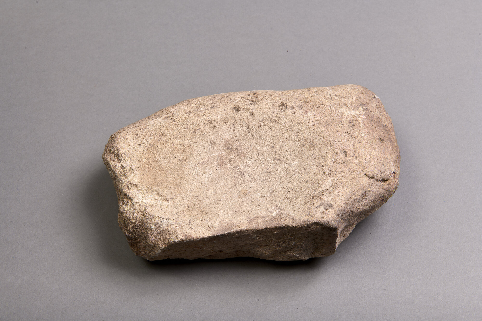 AR_01150 277_35994.jpg