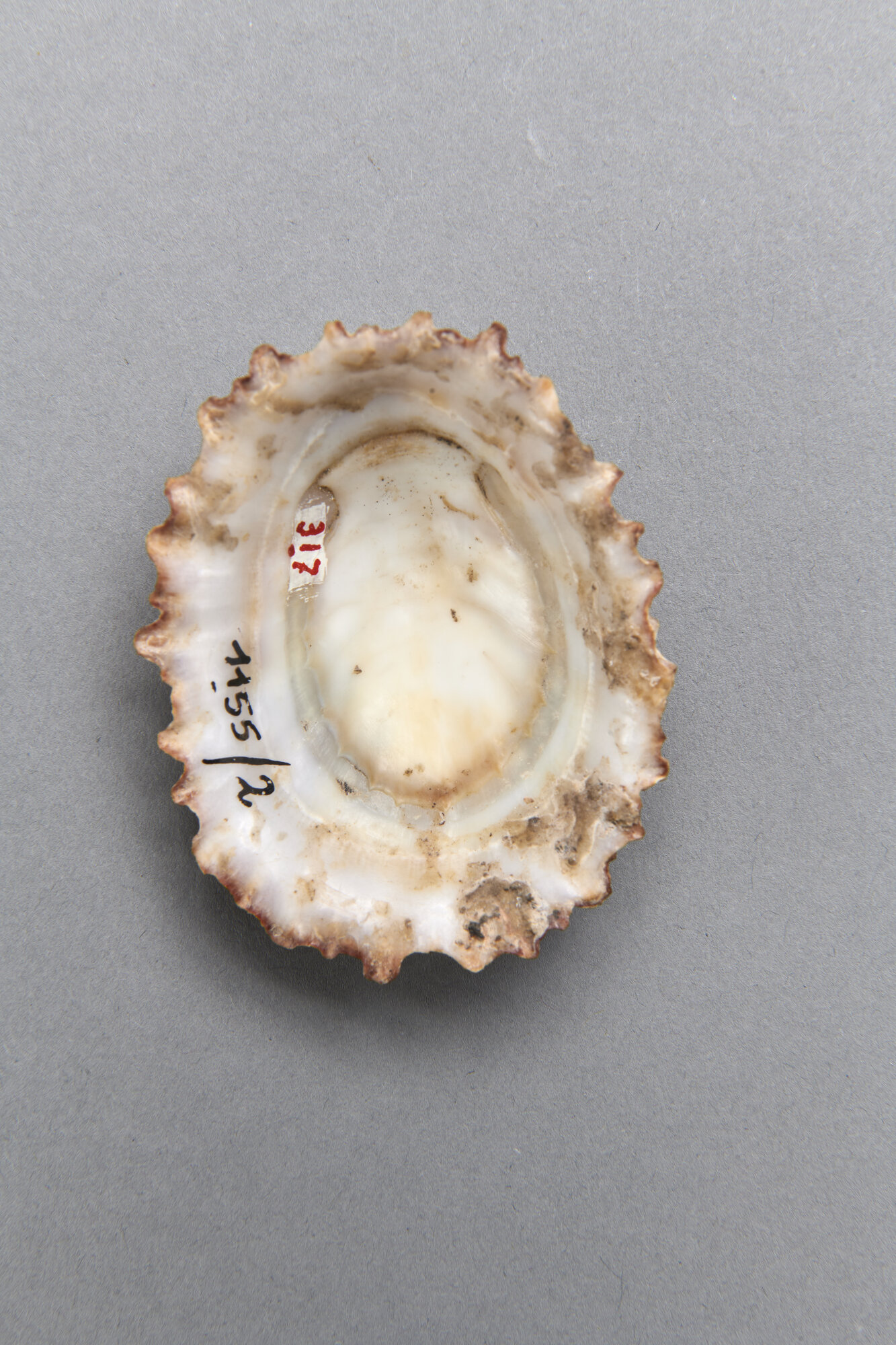 AR_1155-2_26284.jpg