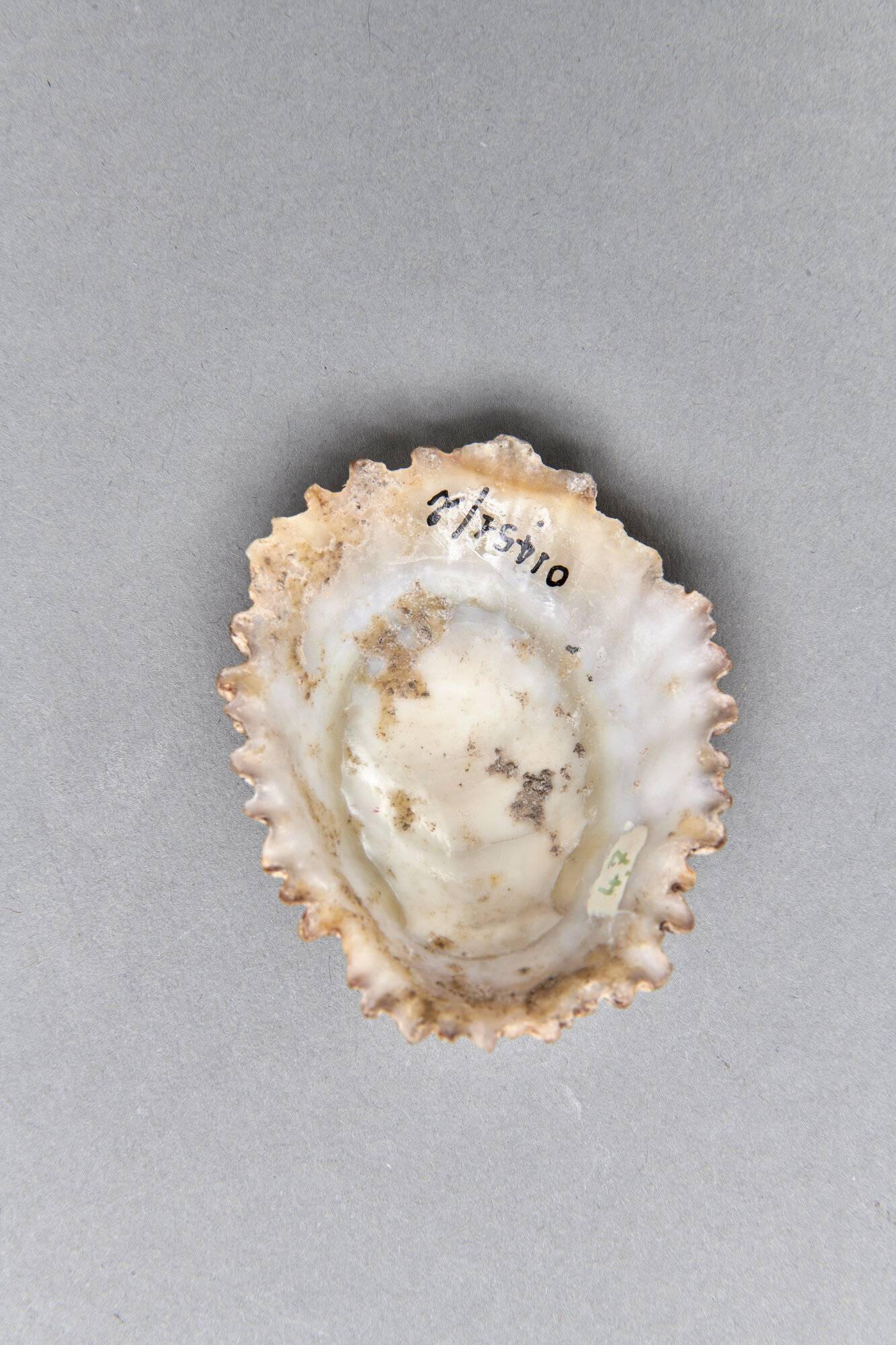AR_01451-2_26288.jpg