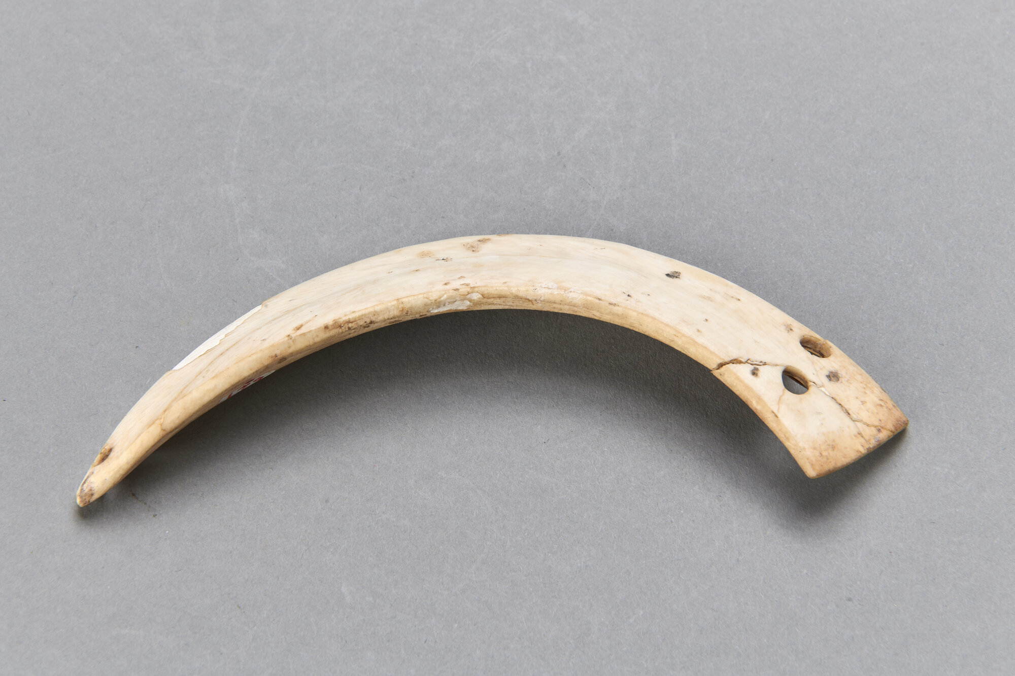 AR_906-20_26439.jpg