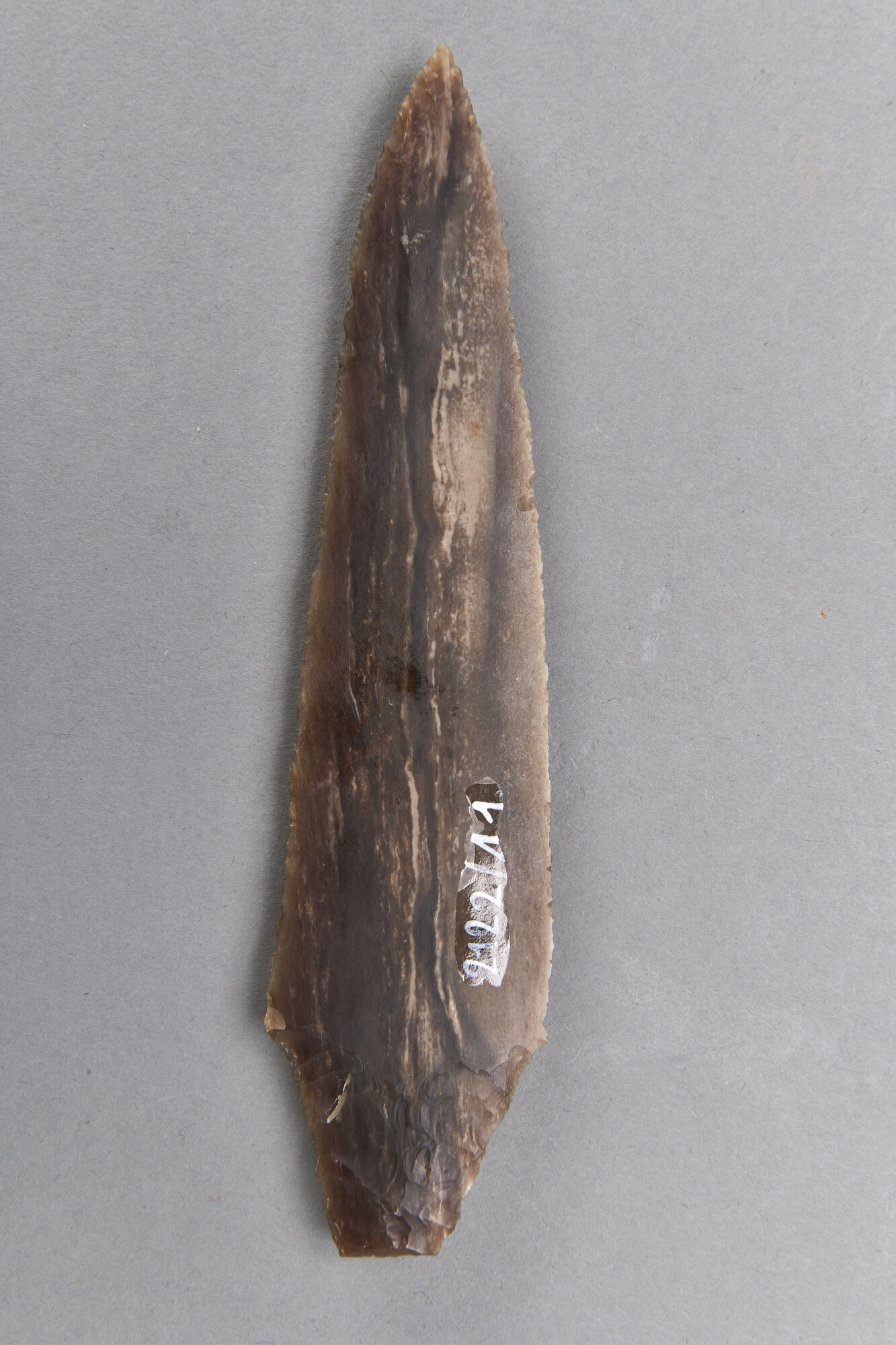 AR_2122-41_27013.jpg