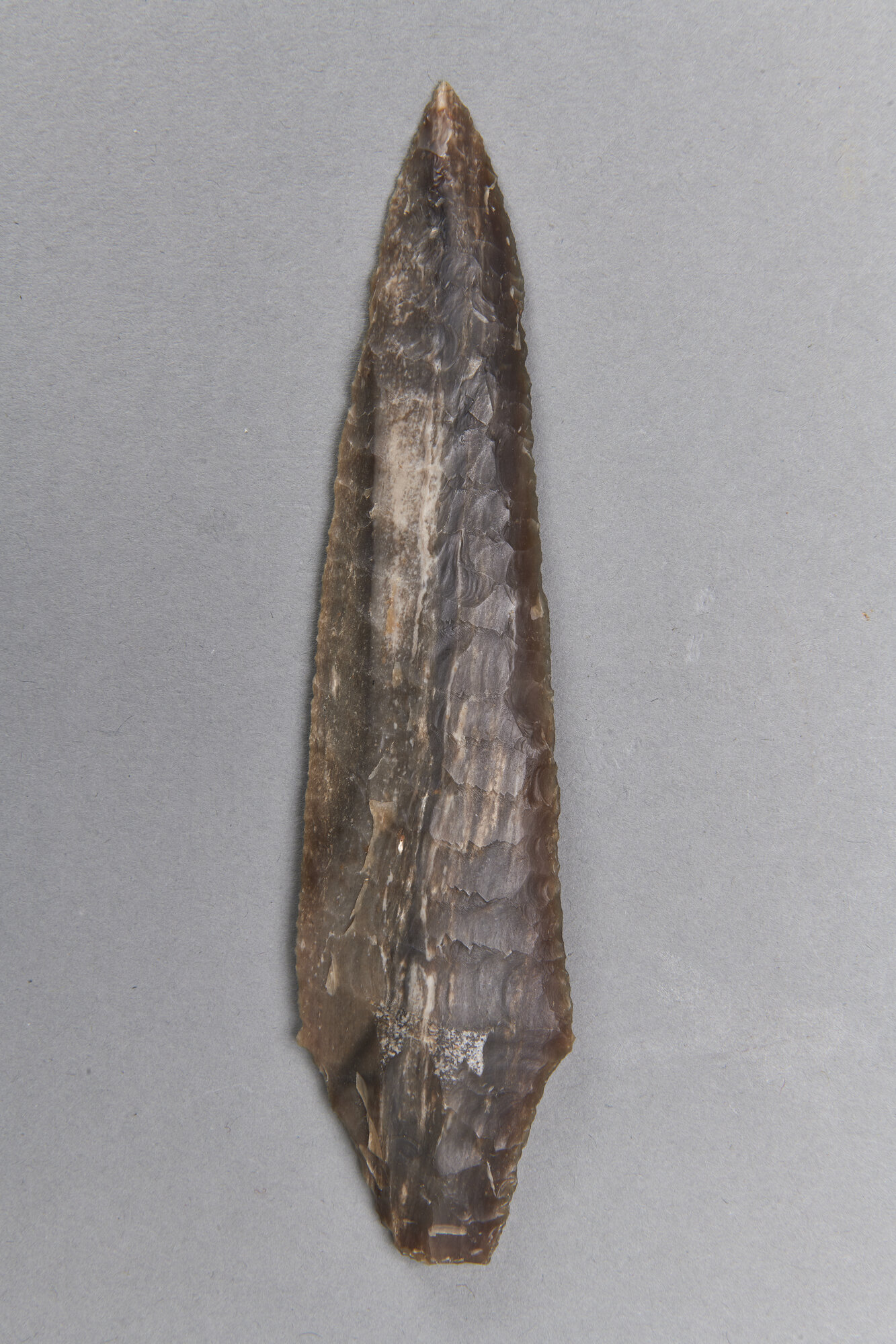 AR_2122-41_27012.jpg