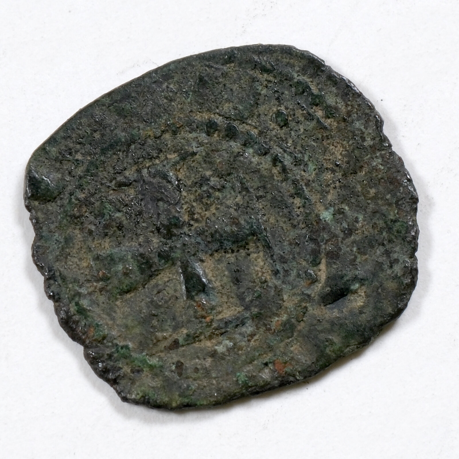 4836a.JPG