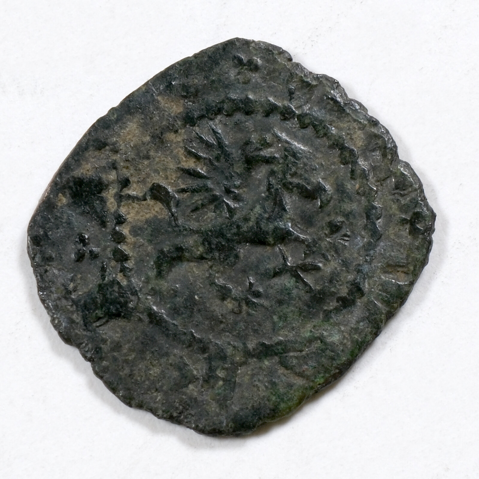 4836b.JPG