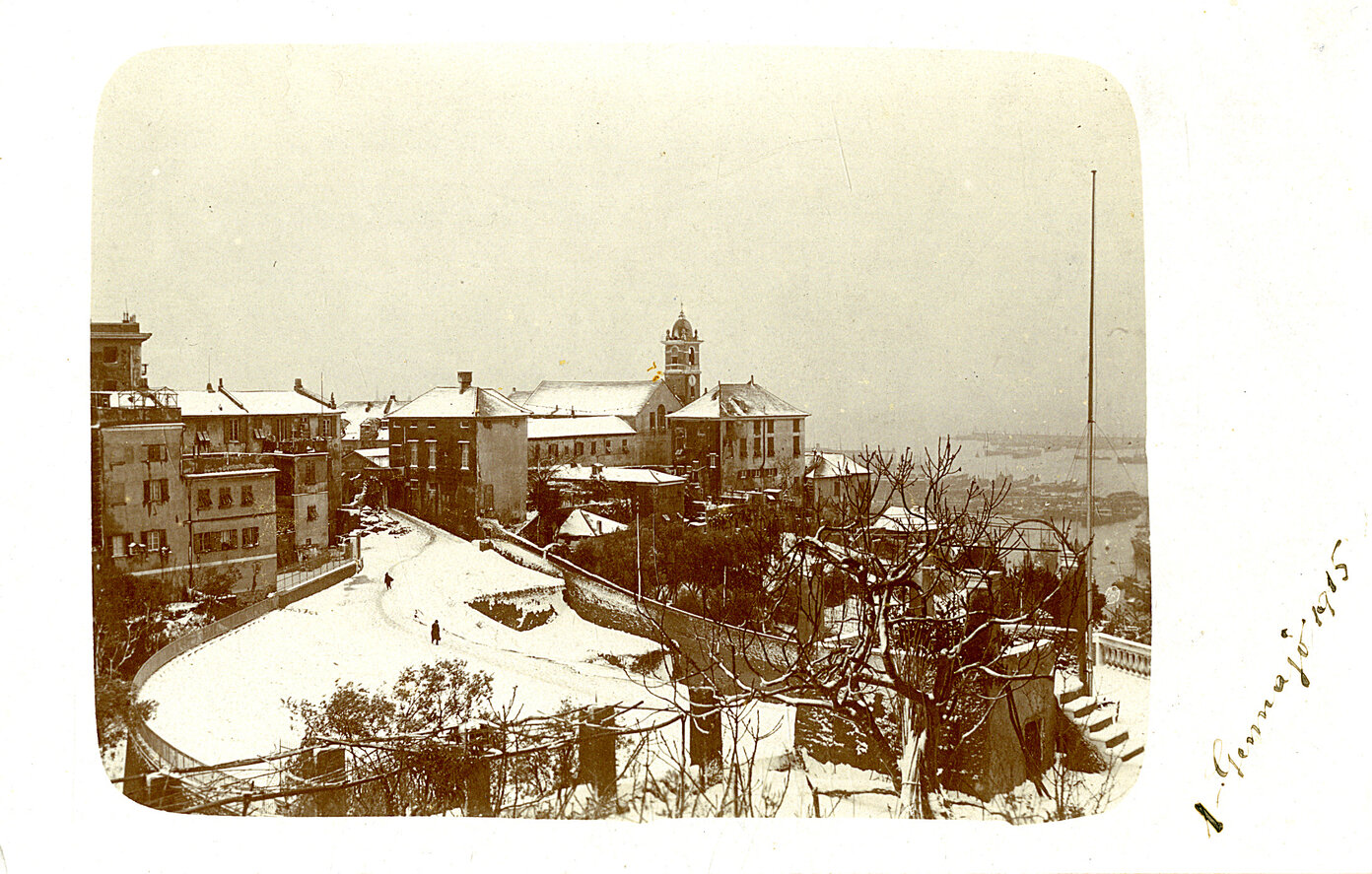 s47732.jpg