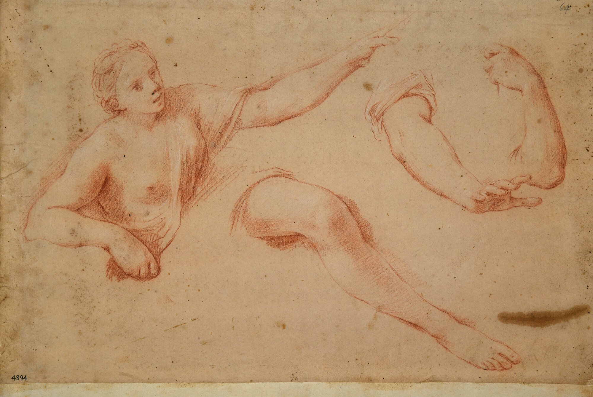 D4894_Franceschini M..tif